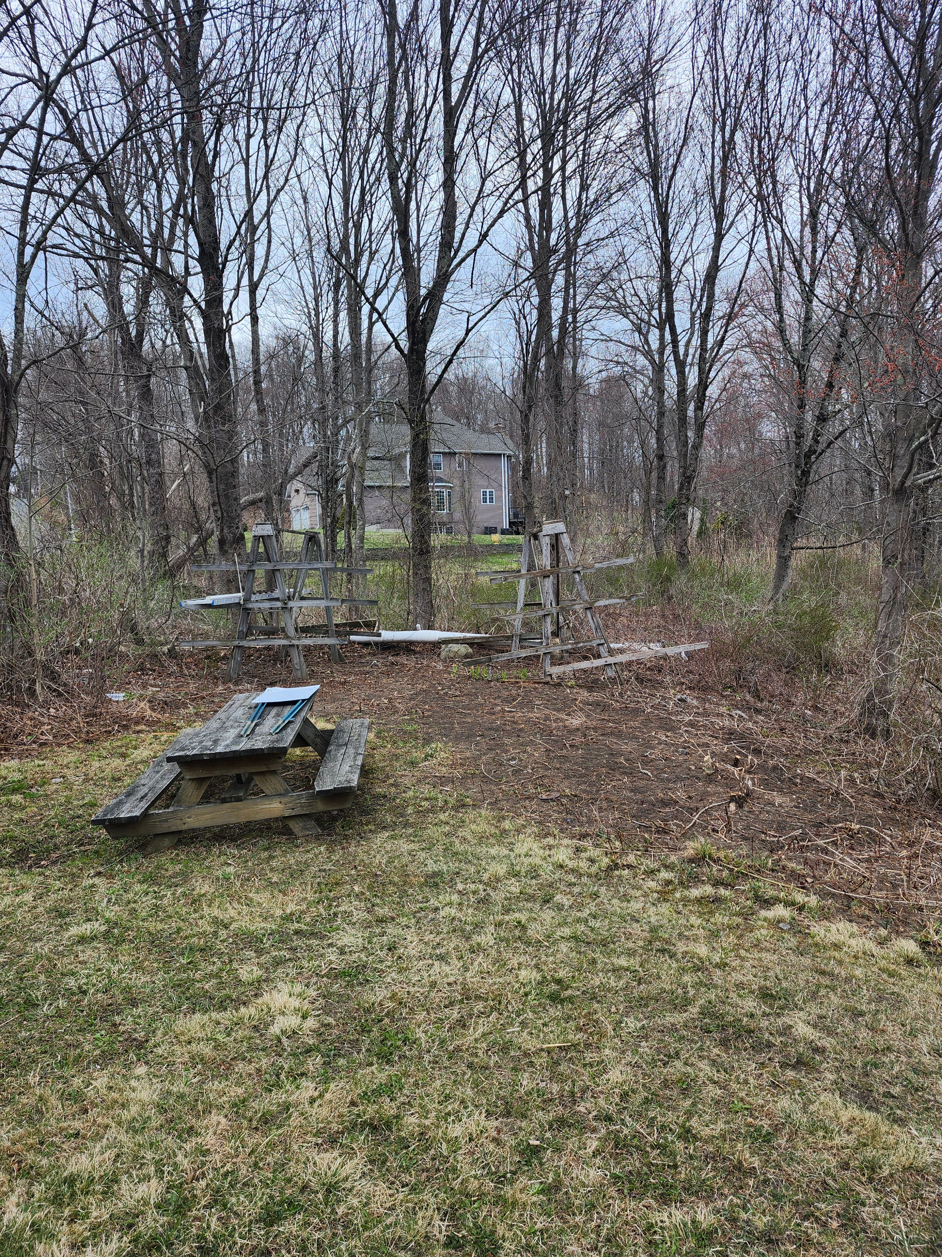 Hedge/Tree/Brush Cutting for Landscape Innovations LLC in Torrington, CT