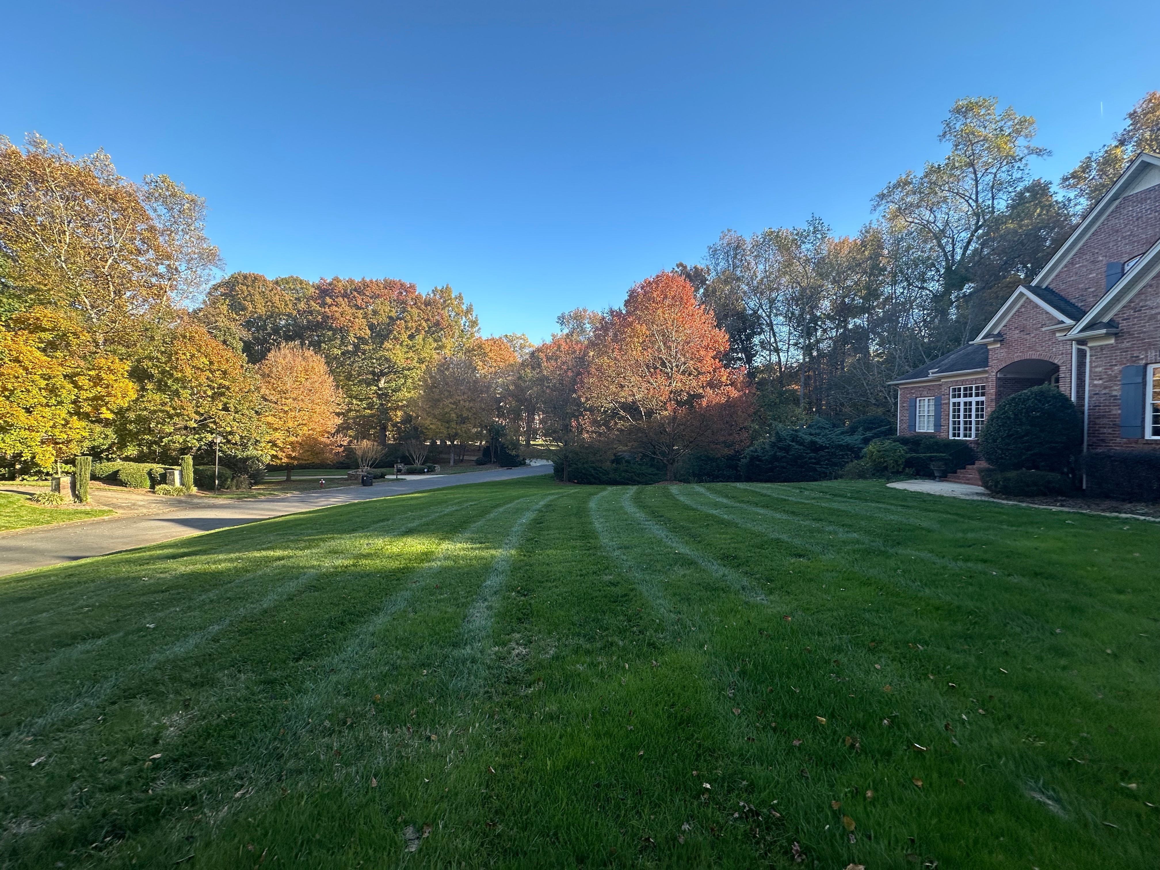  for Pecina Pine Needles in Monroe, NC