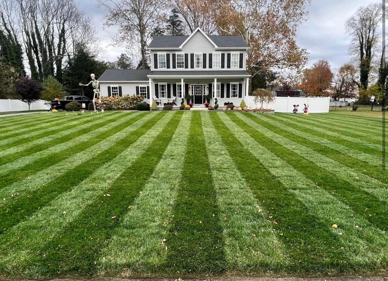 All Photos for Bega Landscape Services in Atlanta, Georgia