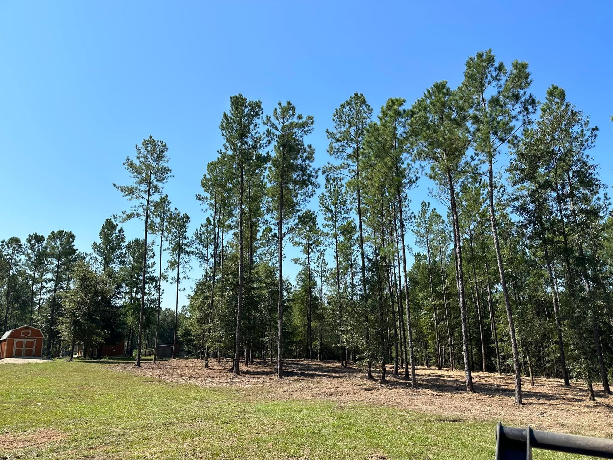 All Photos for White’s Land Maintenance in Milton,, FL