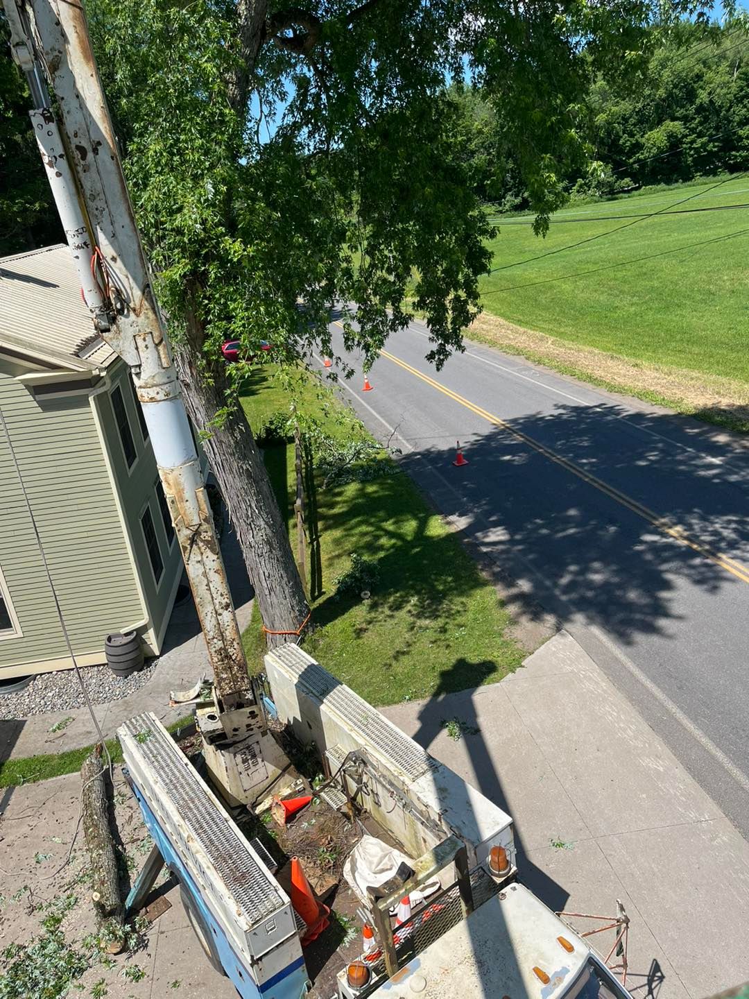  for Helfert Tree Service in Boonville, NY