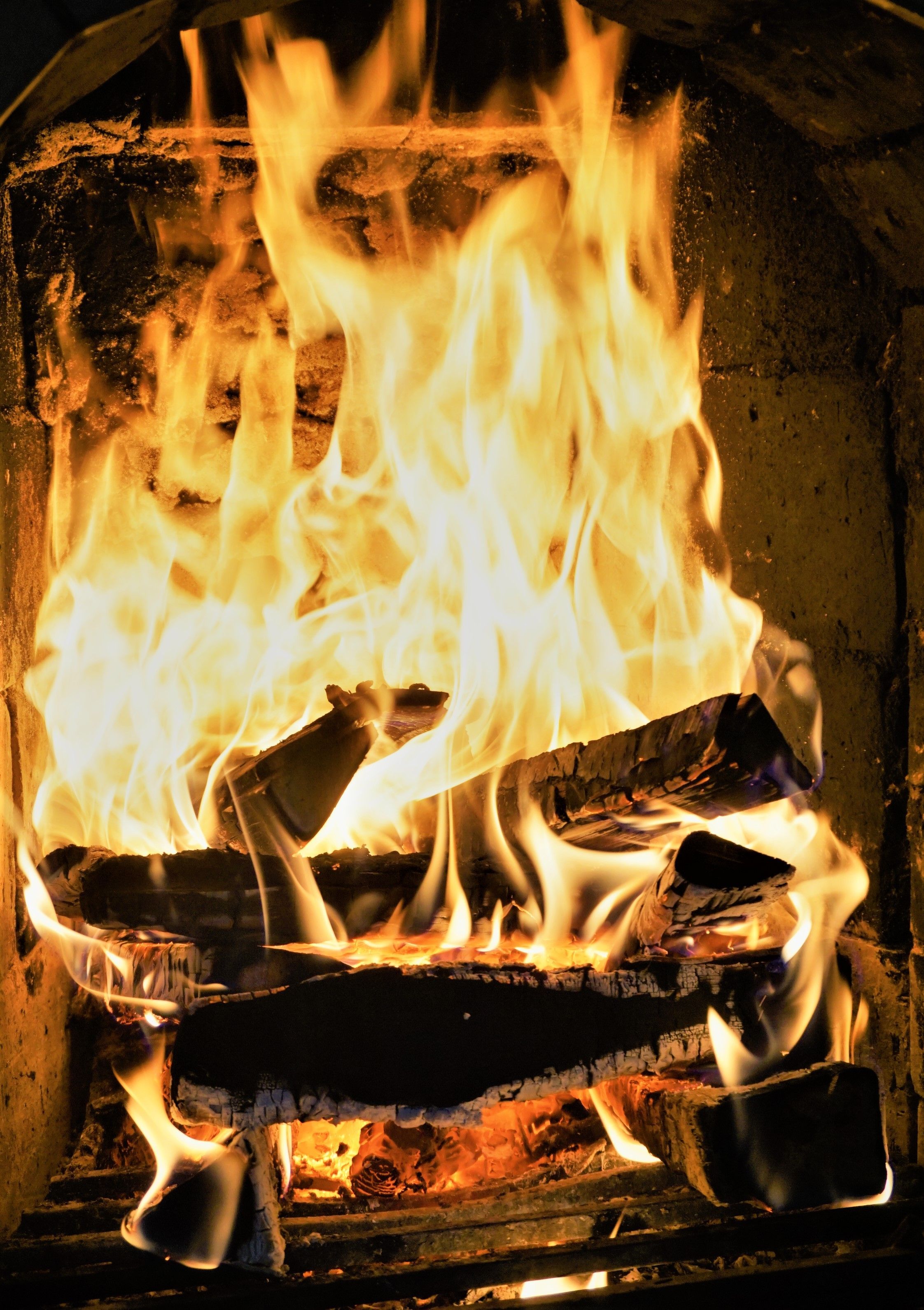  for AAA Home Services Chimney & Dryer Vent Cleaning in San Antonio, TX