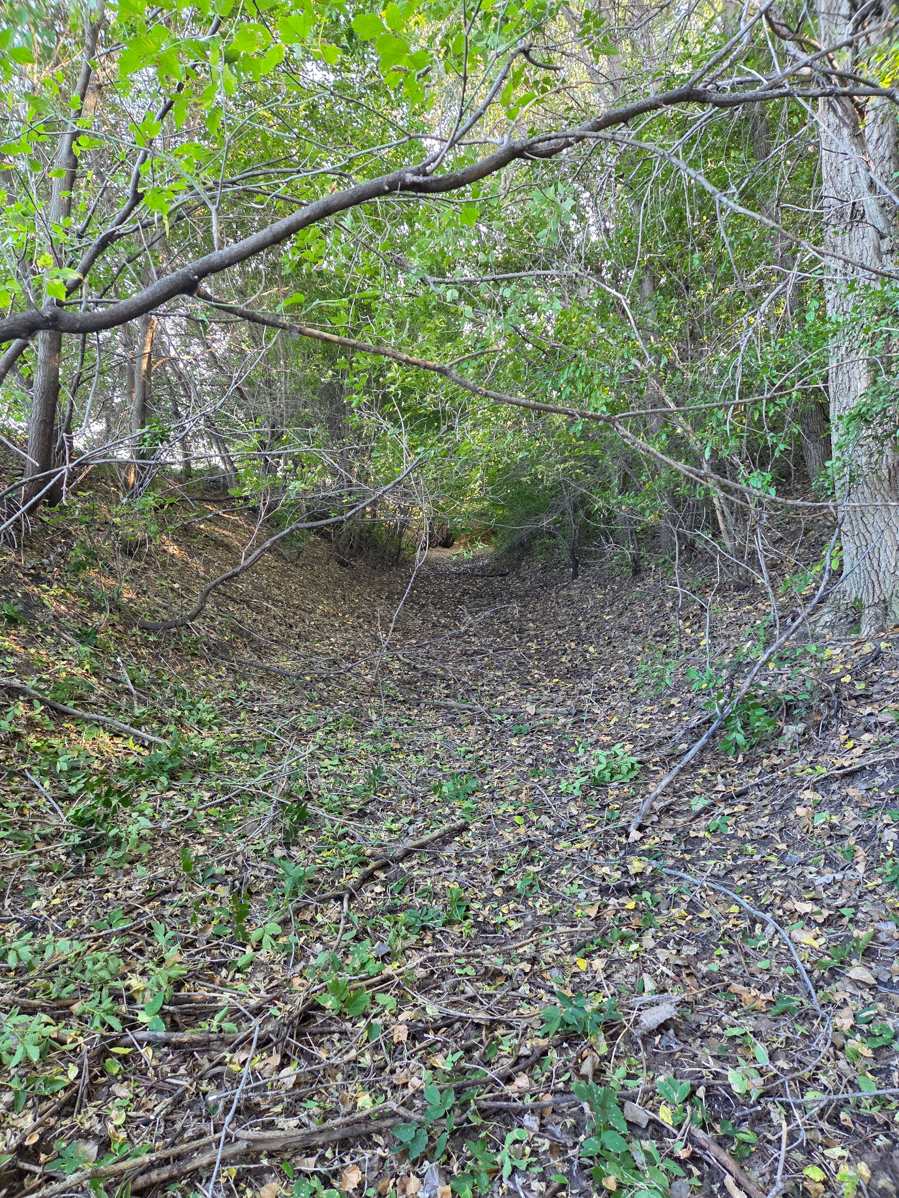  for Matejcek Excavating in Breckenridge, MN