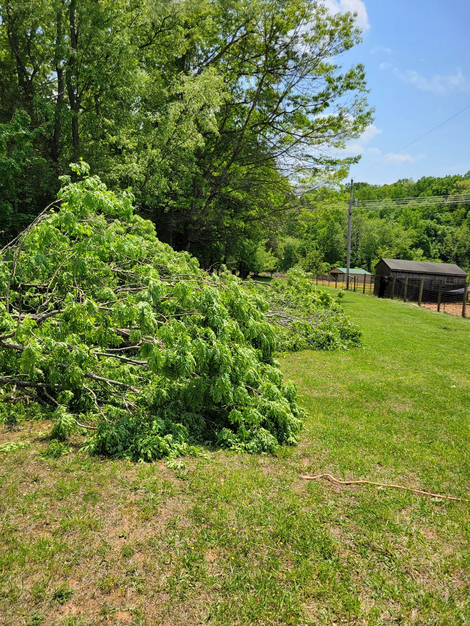  for Red Roosters Tree Services in Bedford, VA
