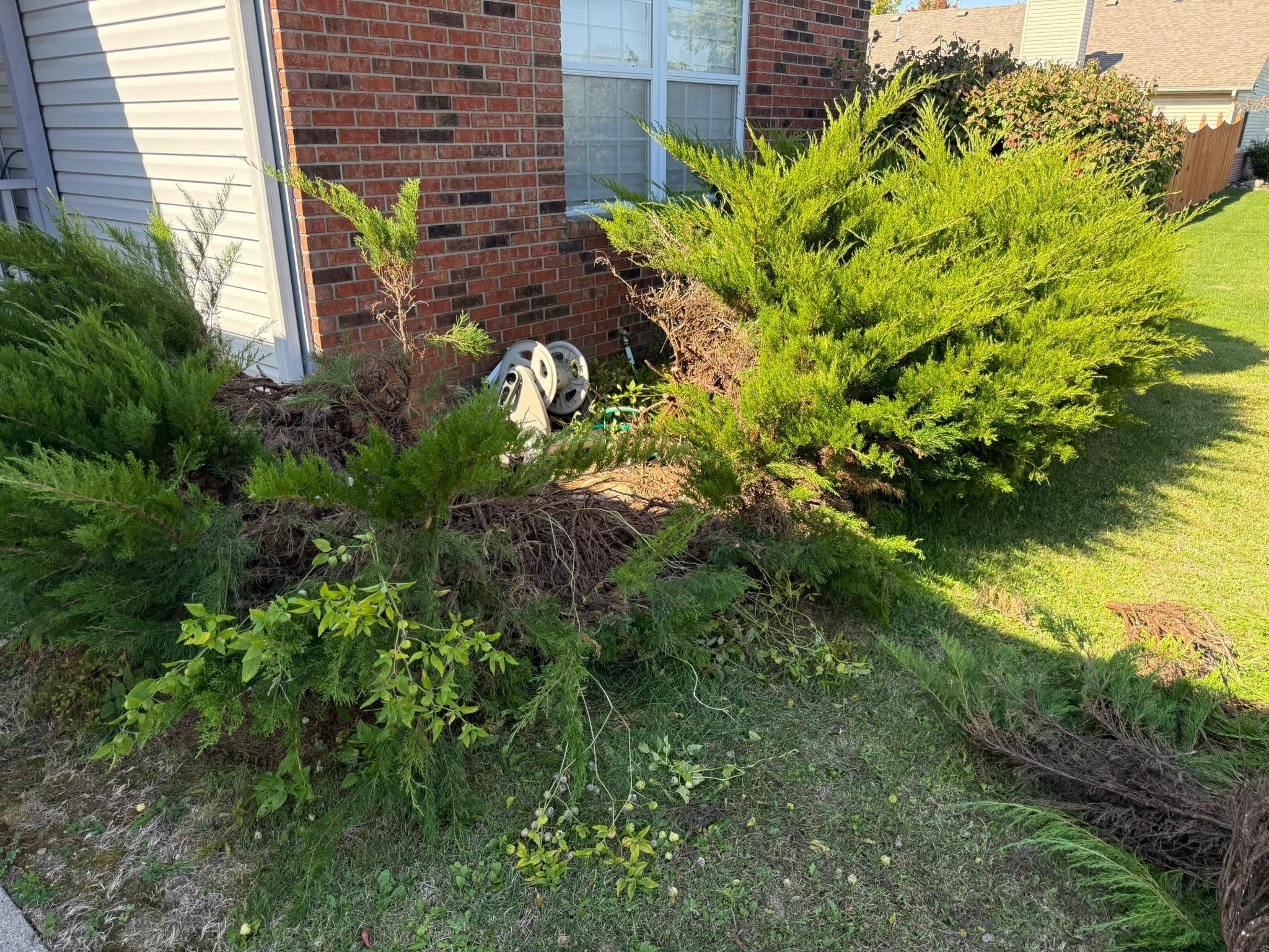  for Bearforce Lawn Care LLC in Greenfield, IN