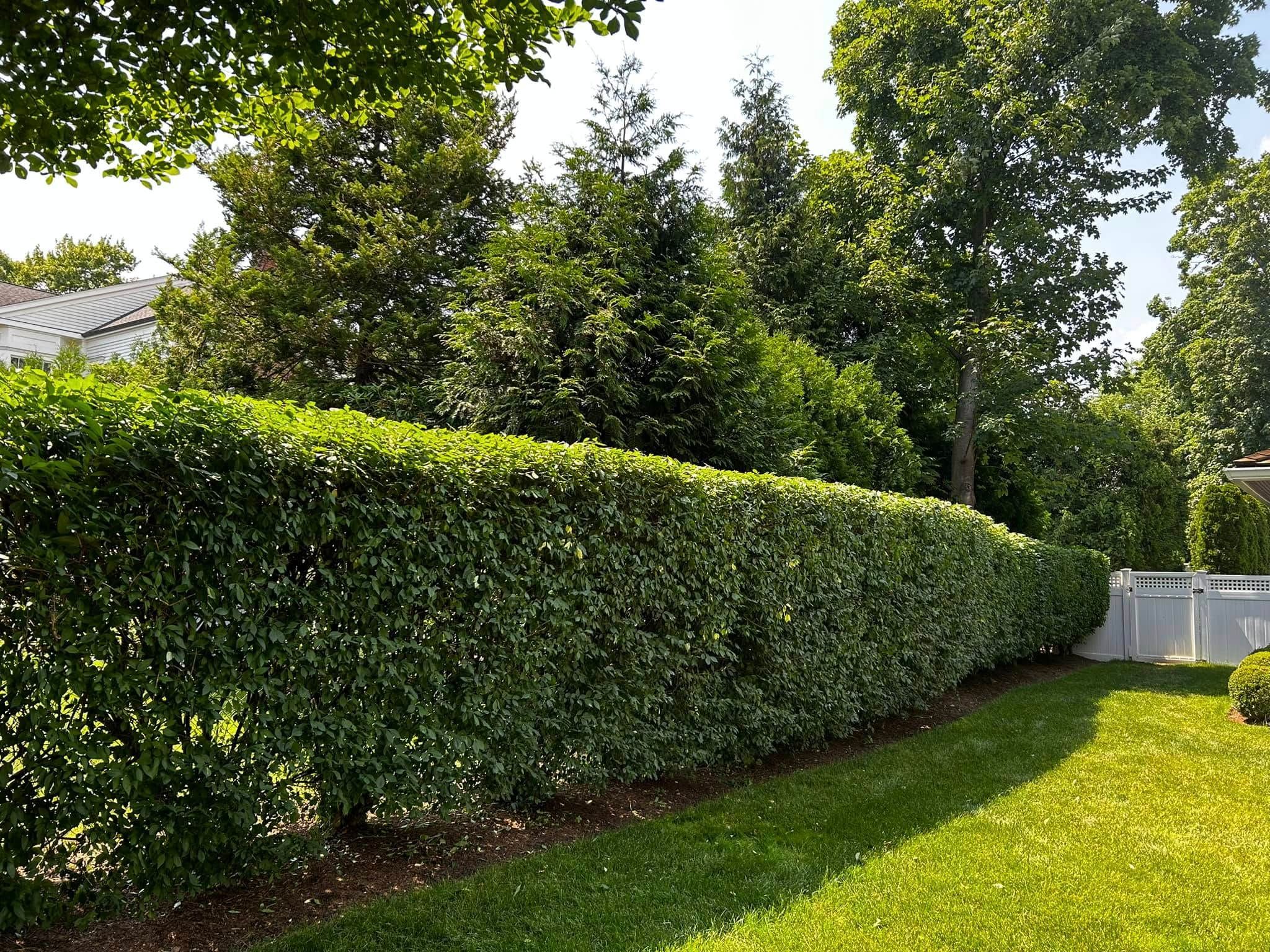  for Jose Gonzalez Landscaping in Stamford, CT