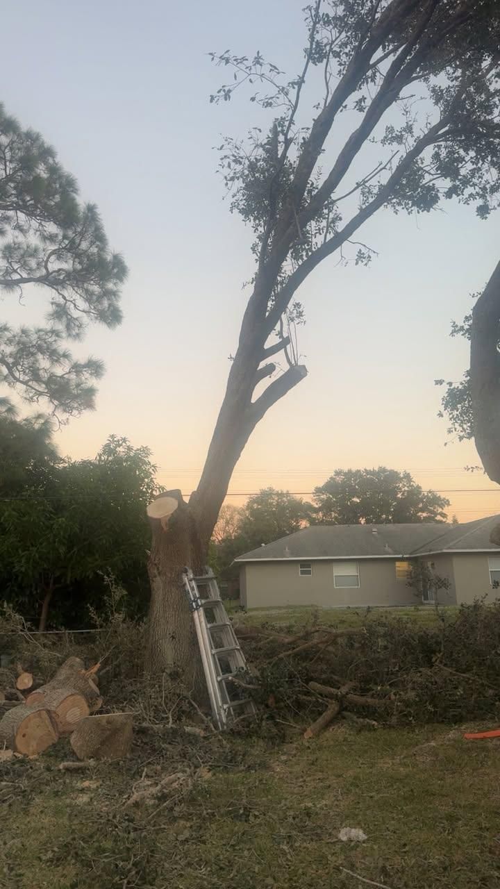  for Space Coast Property Maintenance and Management LLC in Brevard County, FL