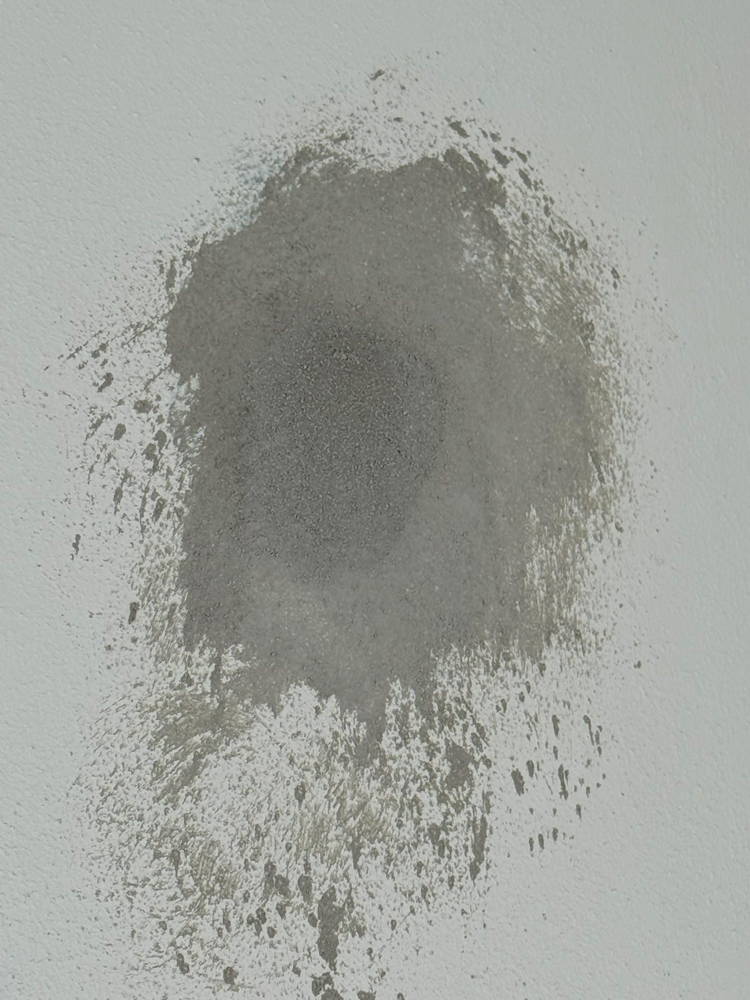  for Escorpio Painting in Tampa, FL