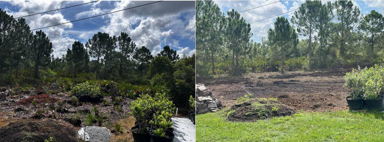 All Photos for SWF Land Clearing Solutions in Fort Myers, FL