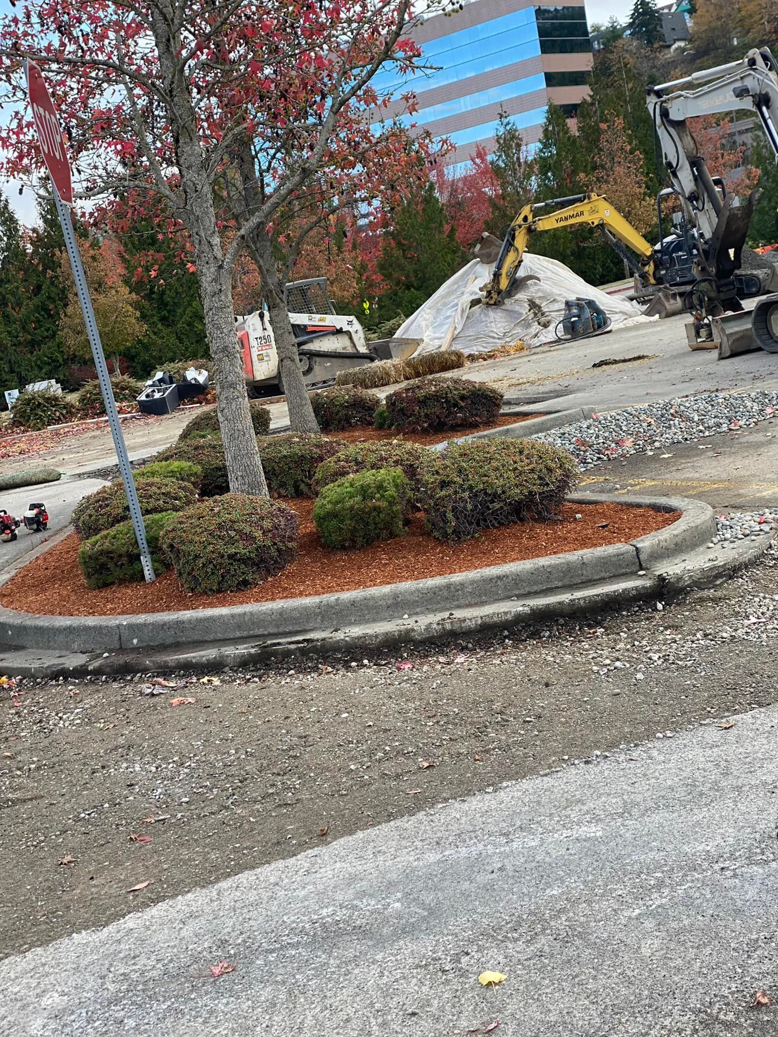  for Family Landscaping & Irrigation in Auburn, WA