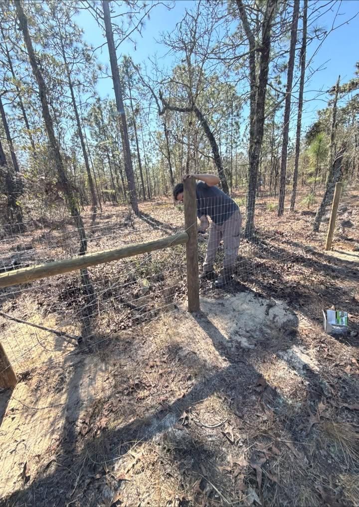  for Nettles Fence in Lake County, FL