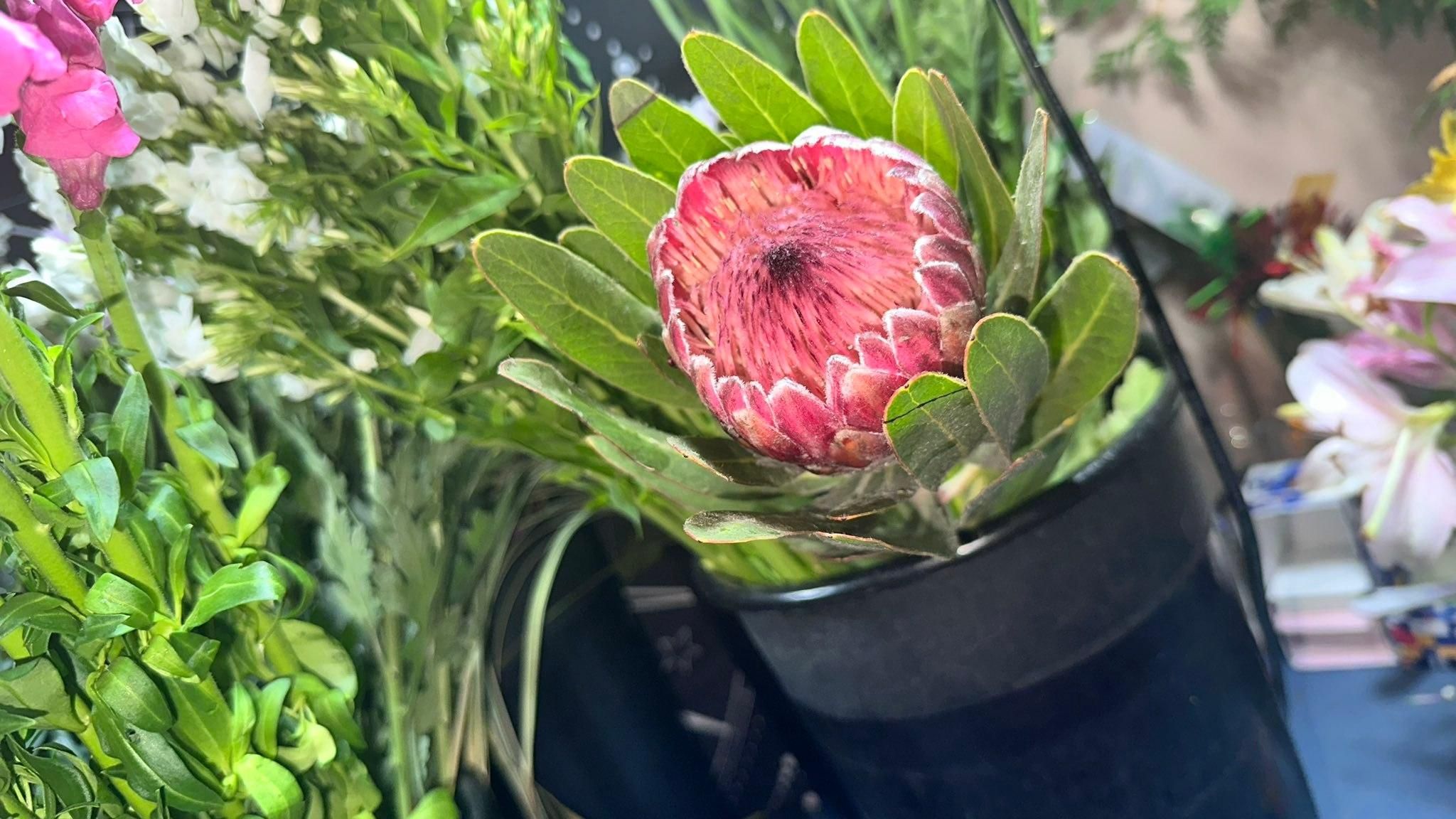  for The Dailey Daisy in Hardwick, VT