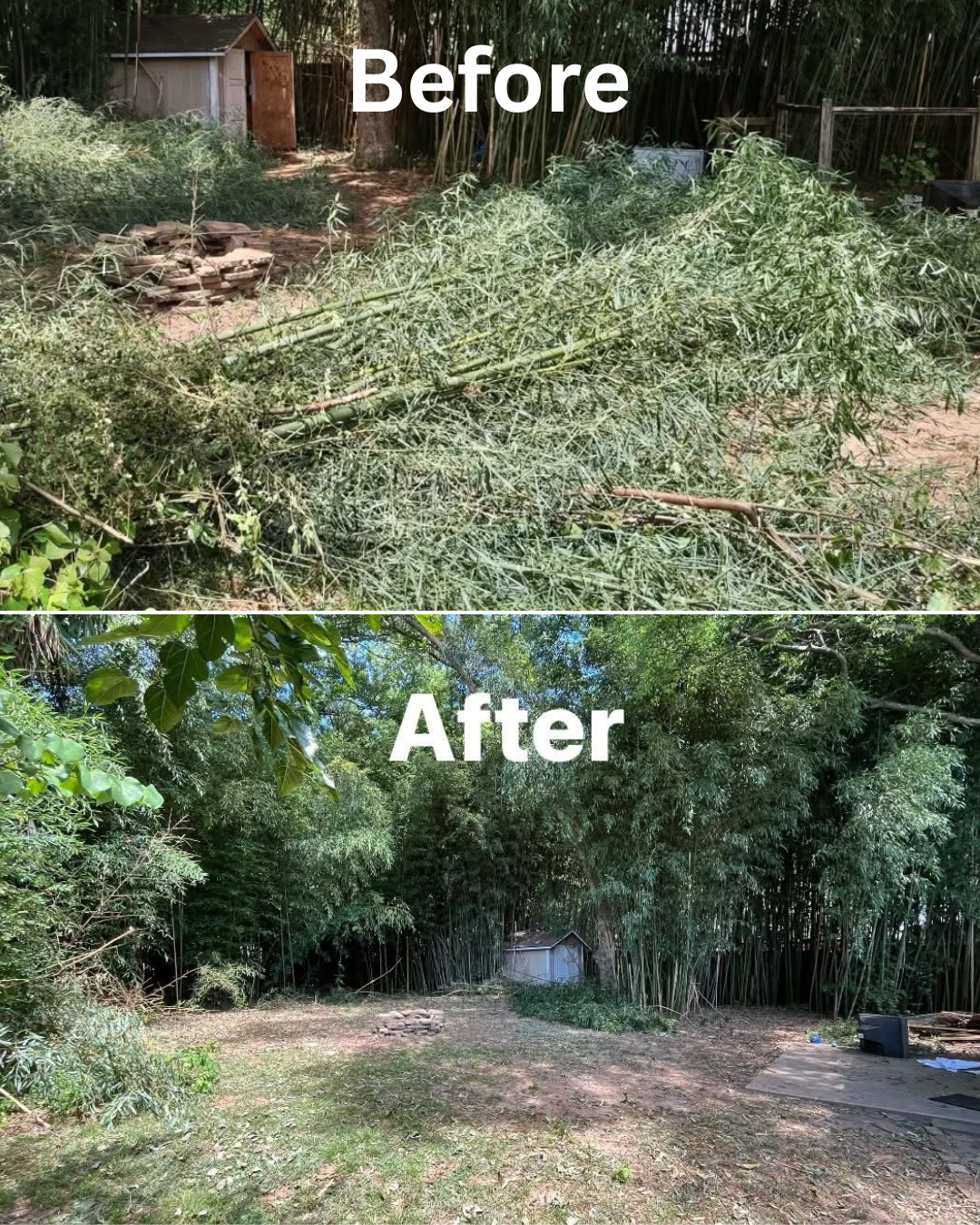  for Southern Solutions in Snellville, GA