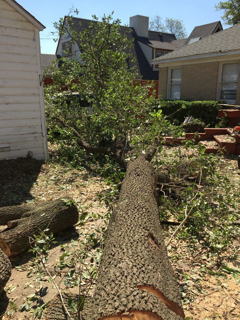  for A Realtree Service in Garland, TX
