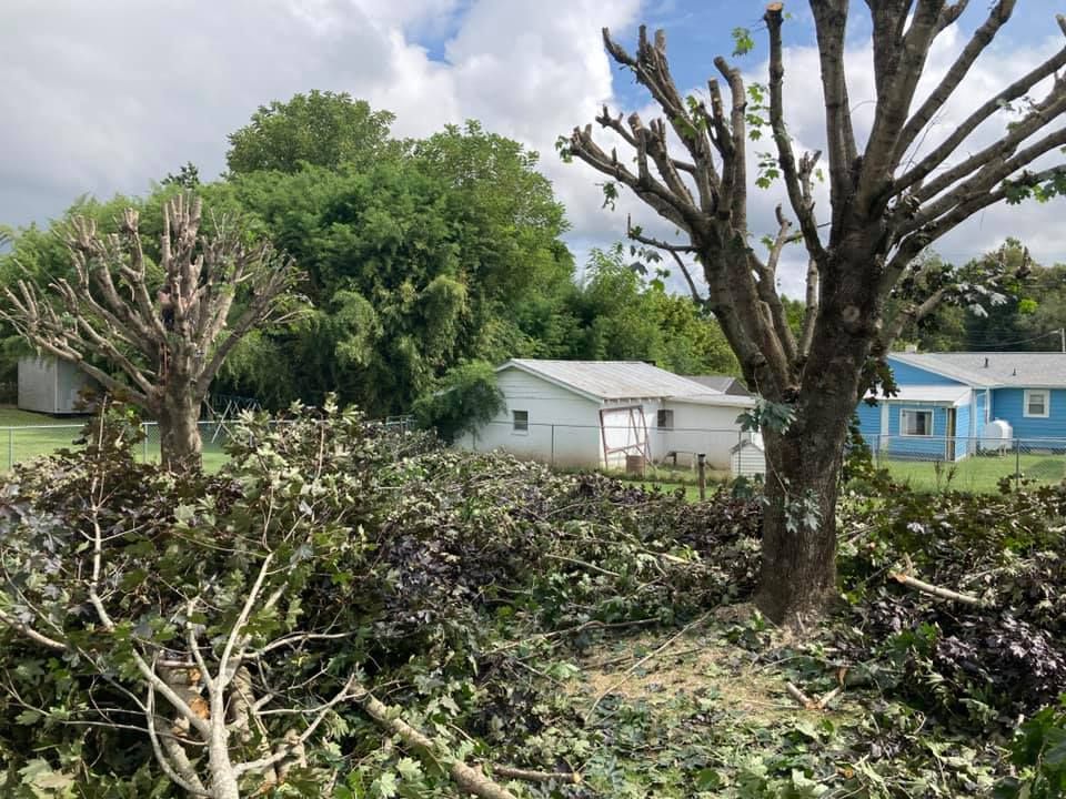  for Ground To Sky Tree Care in Asheville, North Carolina