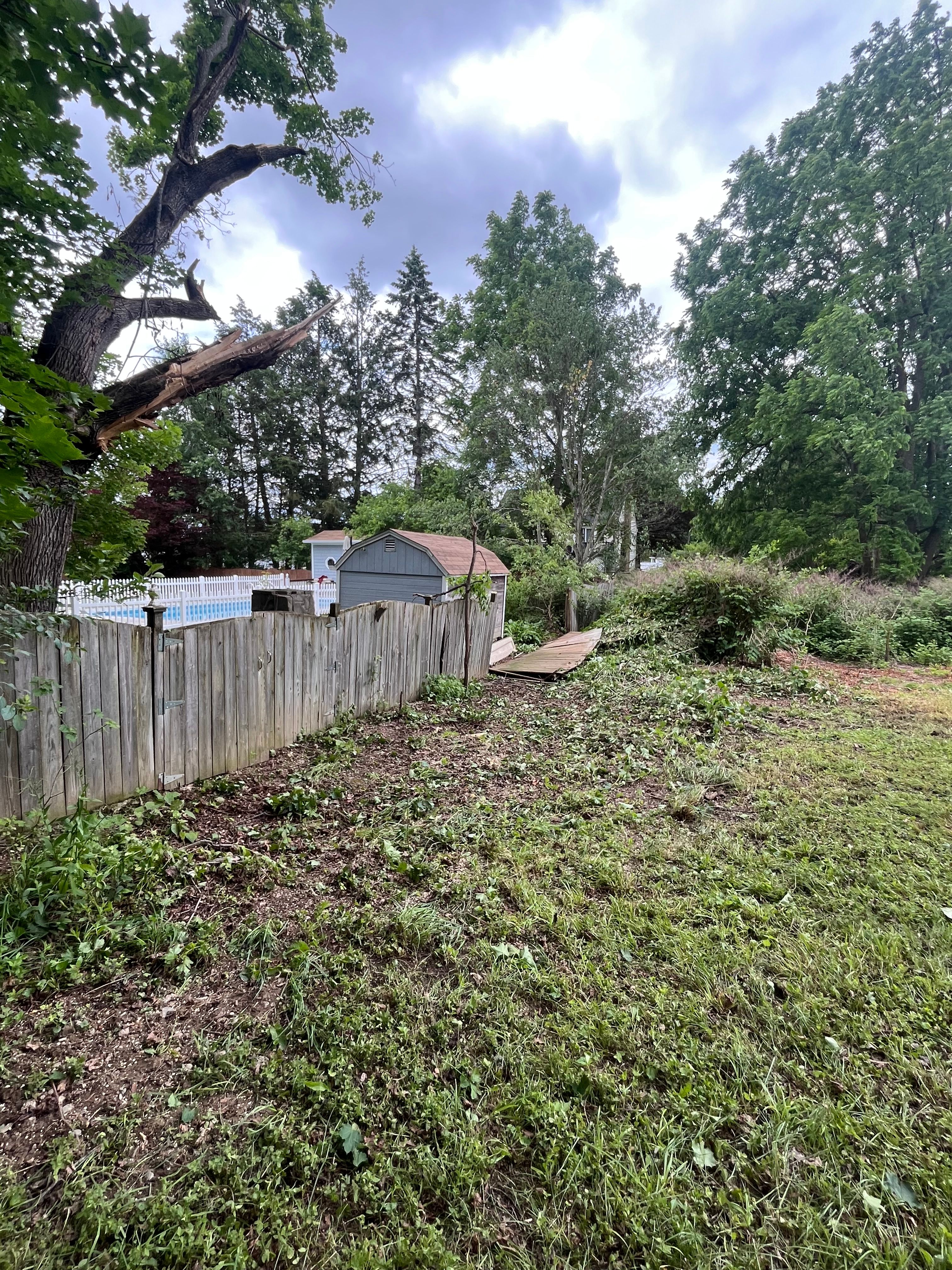 All Photos for Licensed to Cut Tree Service in Athens, PA