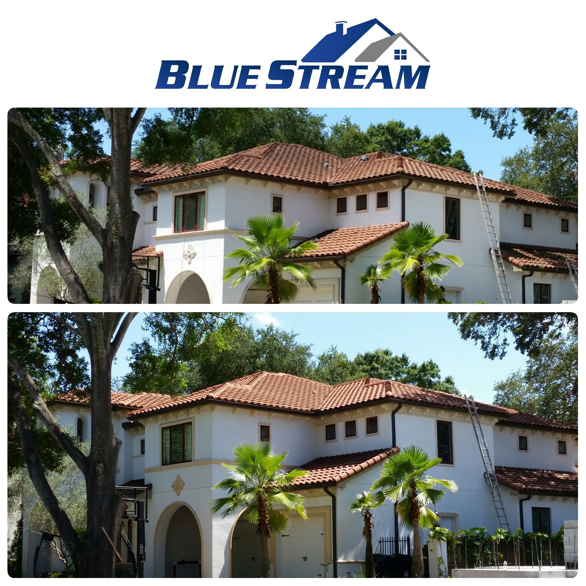  for Blue Stream Roof Cleaning & Pressure Washing in Tampa, FL