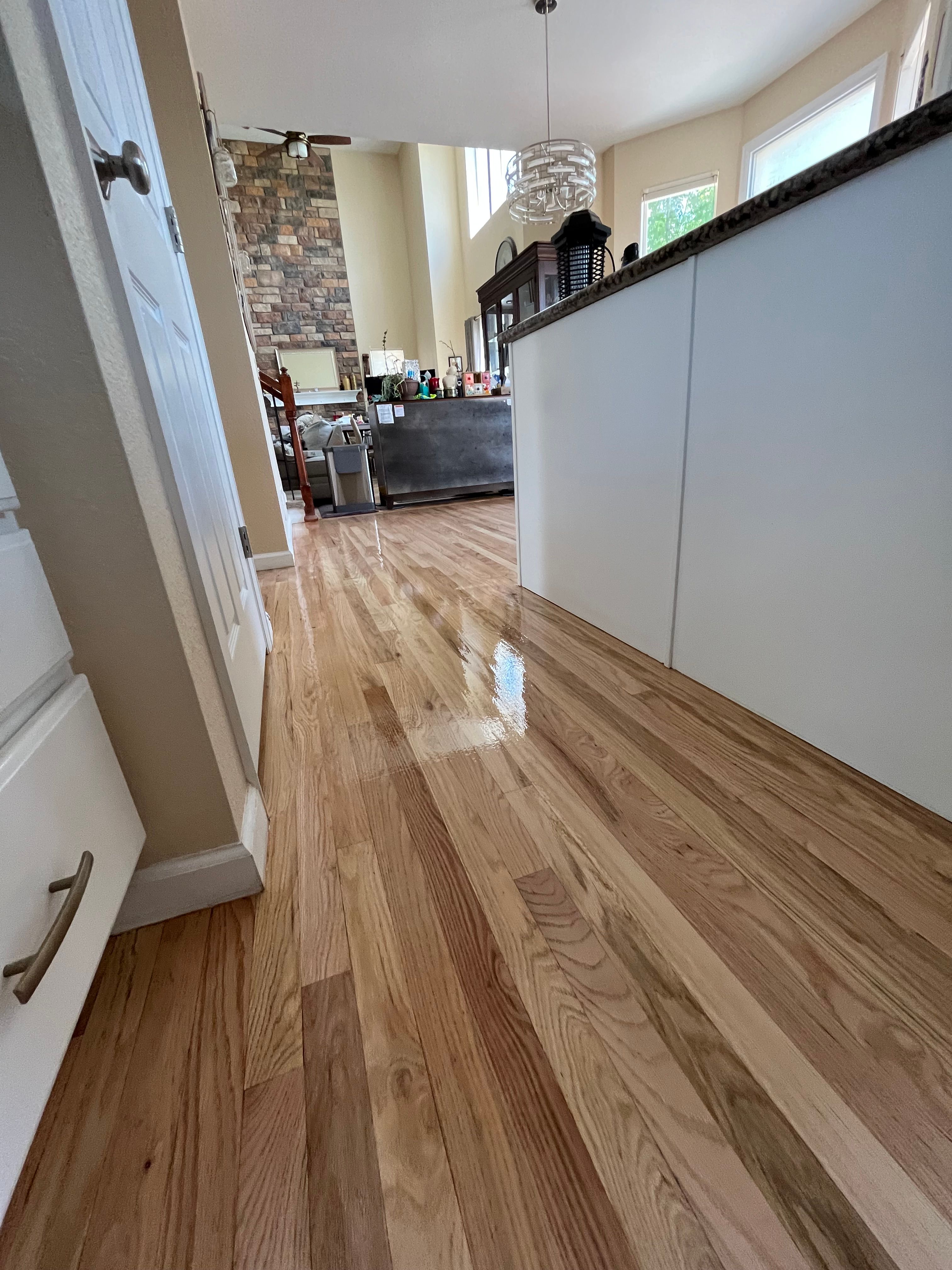  for Alpha Flooring & Painting Services. in Centennial, CO