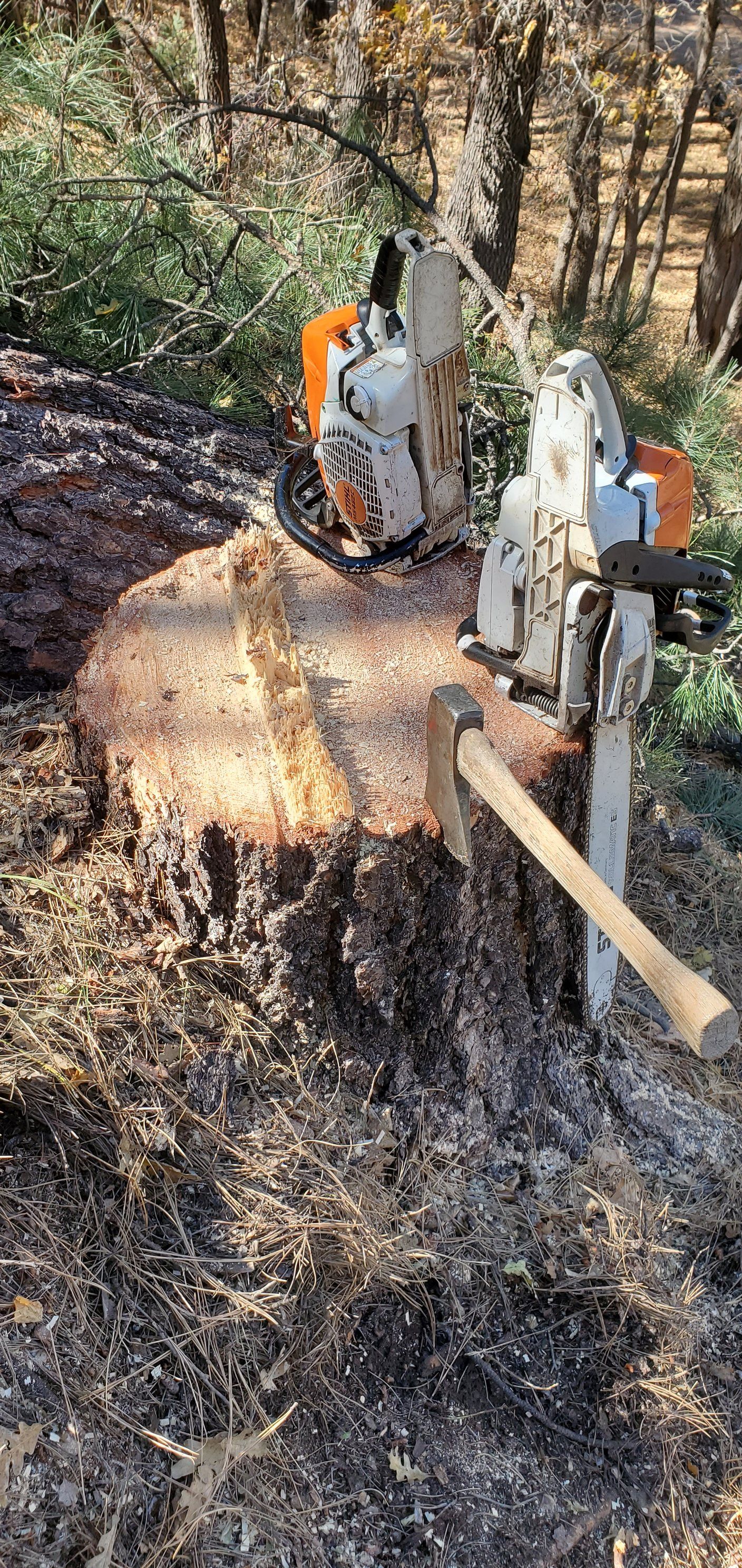  for StockPro Tree Specialists in Show Low, AZ