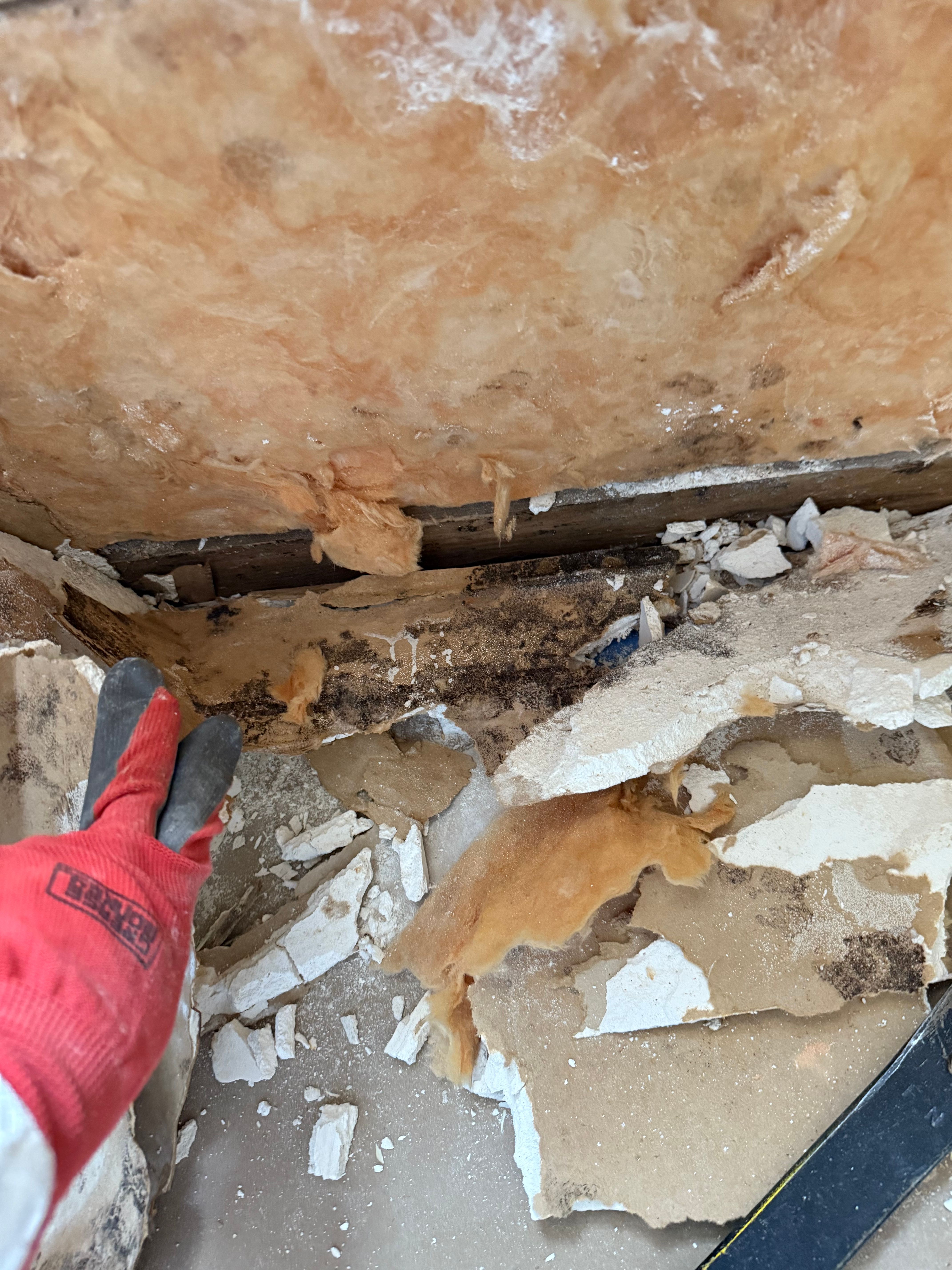  for N&D Restoration Services When Disaster Strikes, We Come In in Cape Coral,  FL