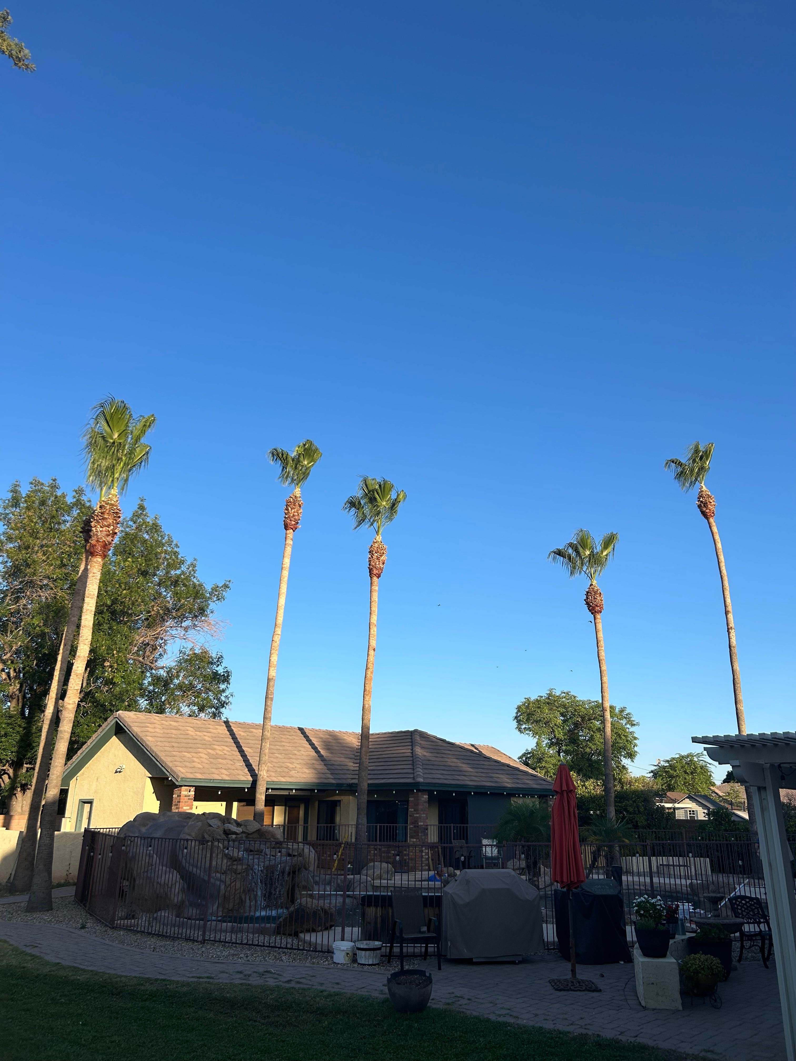  for Copperhead Solution in Phoenix, Arizona