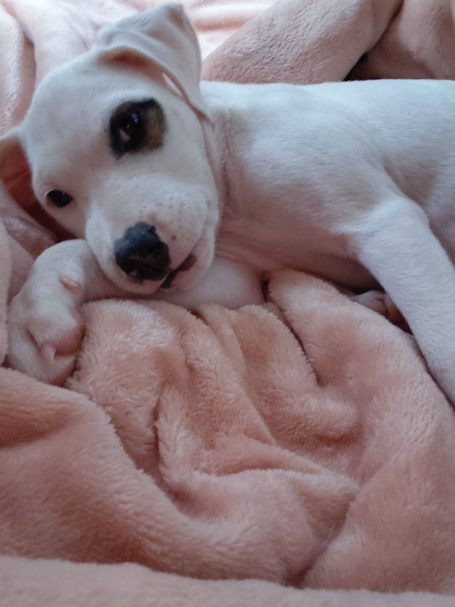  for Sullivan Sanctuary of Maine in Brunswick, ME