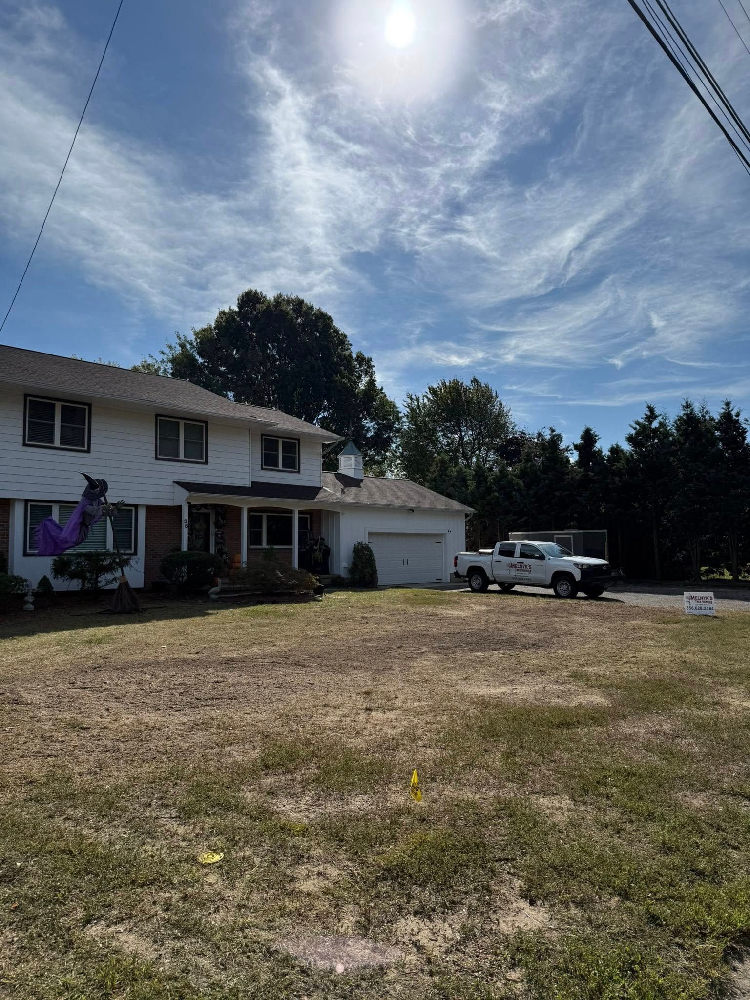 All Photos for Melnyk’s Tree Service in Salem County, NJ