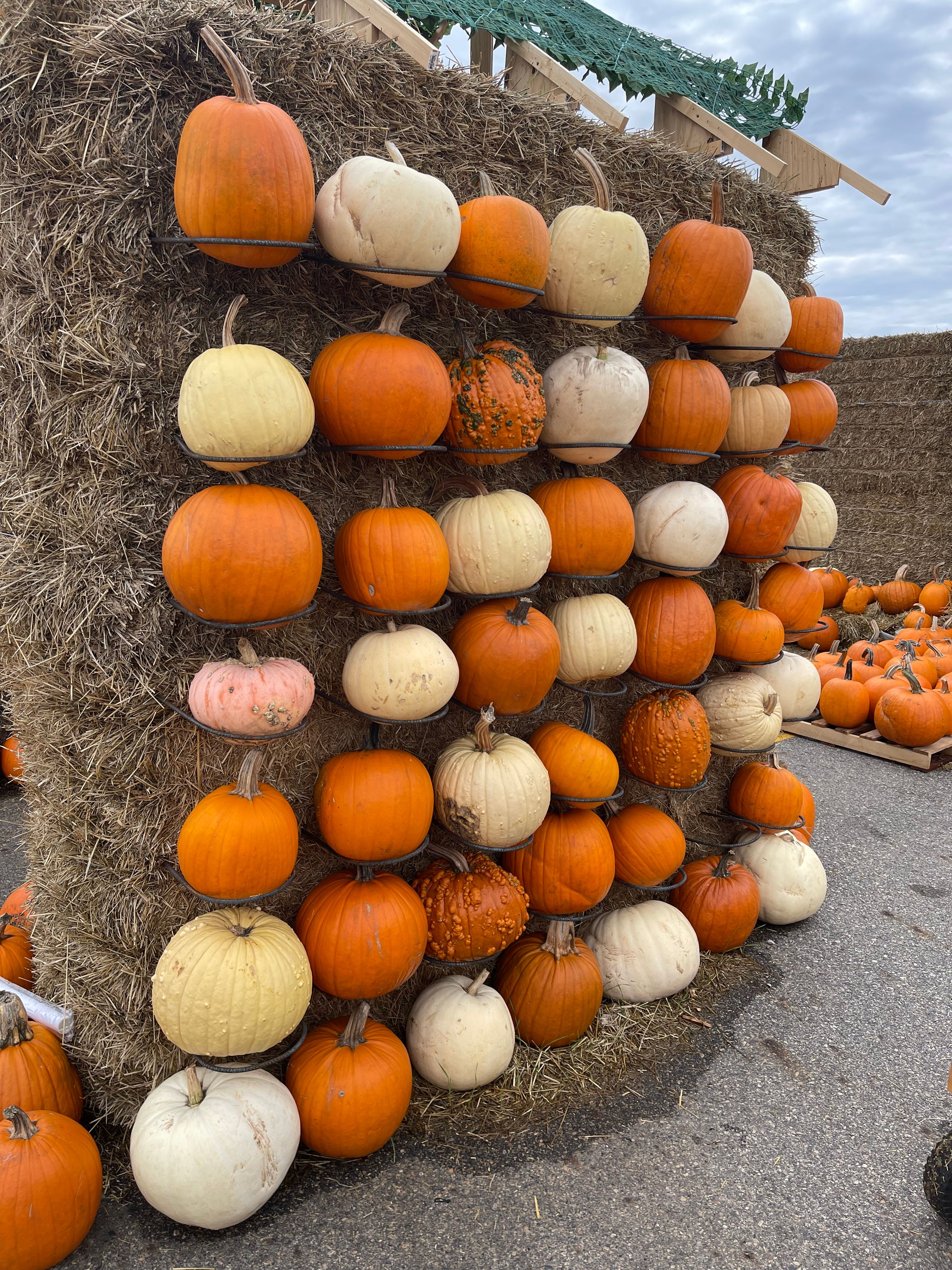  for Fusion Welding in Pierz, MN