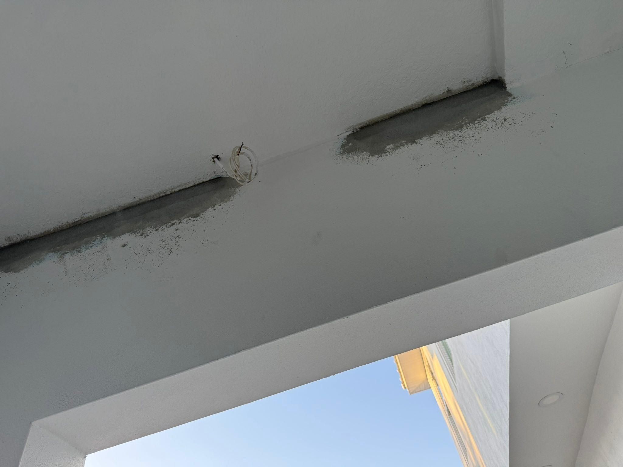  for Escorpio Painting in Tampa, FL