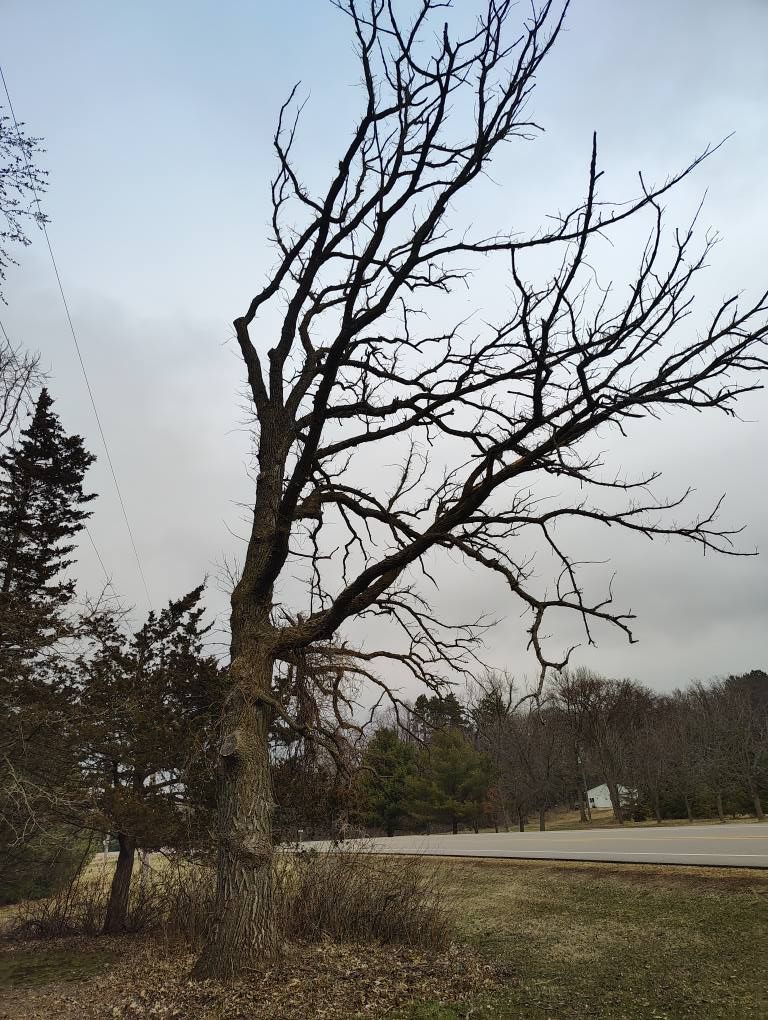 All Photos for Big River lawn Care services and snow LLC in Wausau, WI