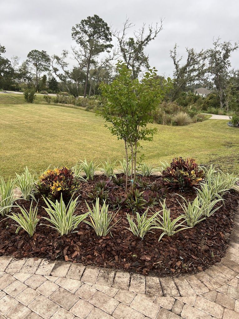 All Photos for F & F Lawn & Landscaping LLC in Crescent City, FL