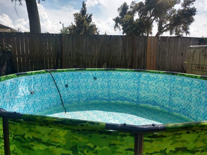  for Down & Dirty Pool Service in Crawfordville, FL