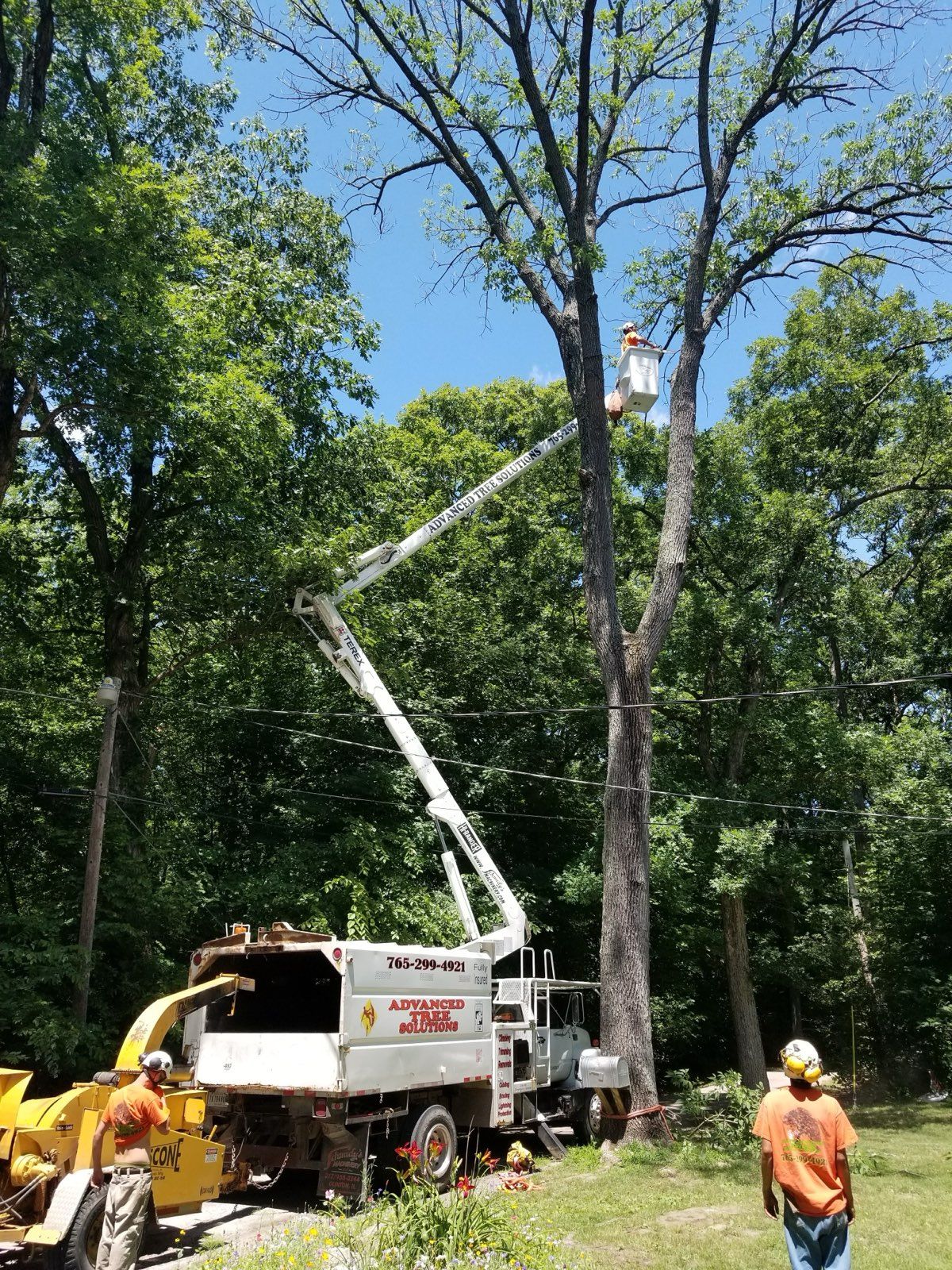  for Advanced Tree Solutions in Rockville, IN