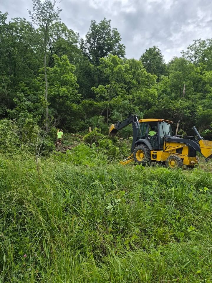  for Carpenter's Tree Service in Aurora, IN