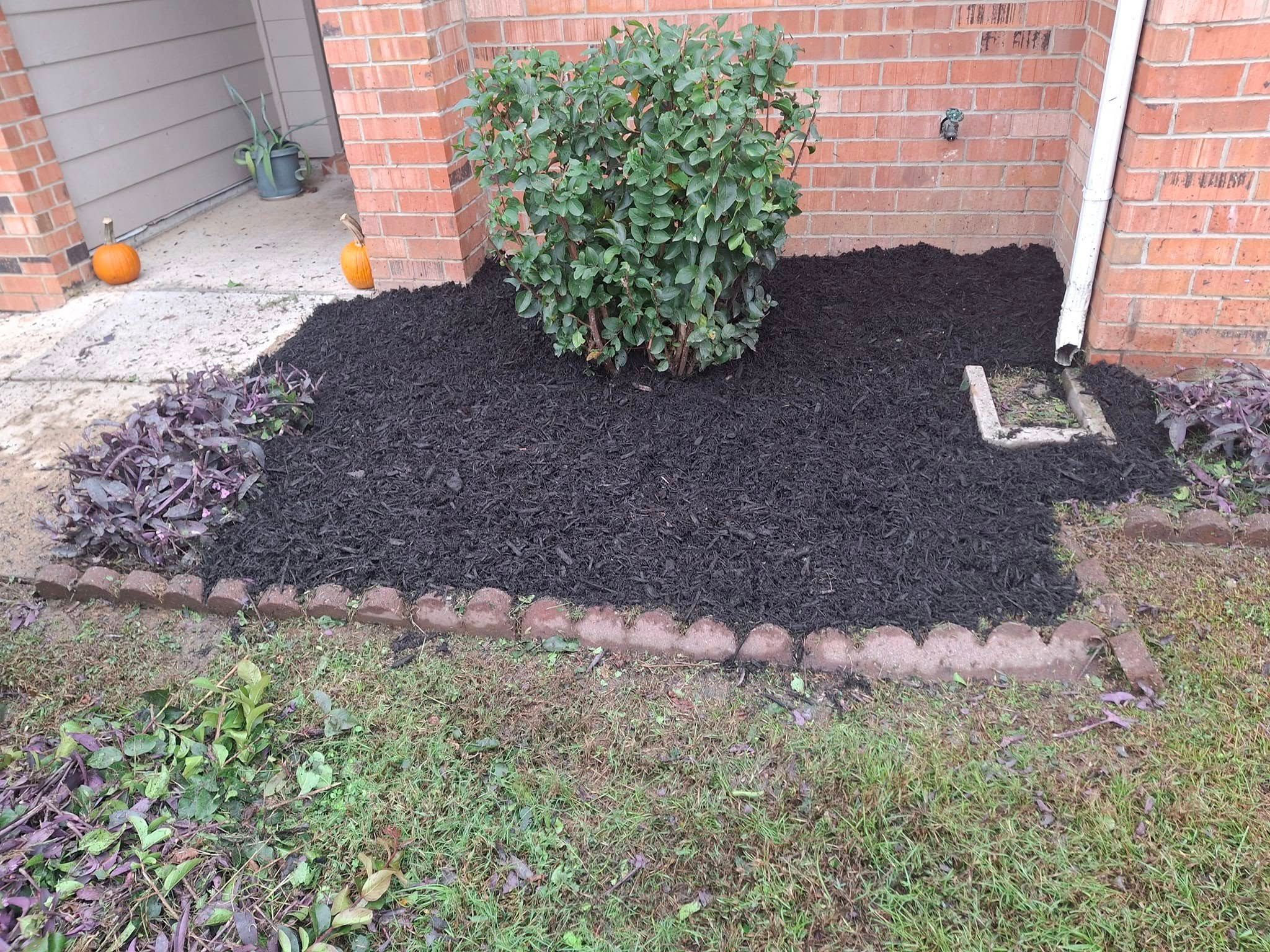  for The DUFF LAWN Service in Houston, Texas