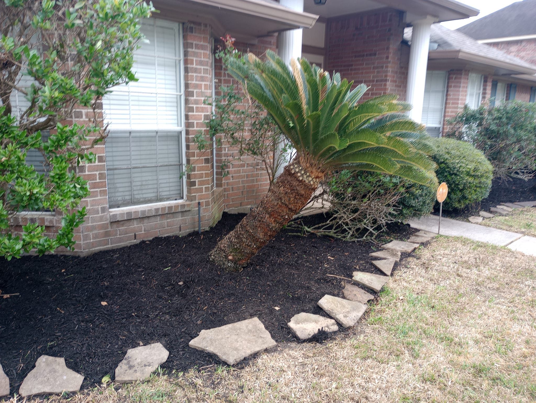  for Mitchell Maintenance in Dickinson, TX