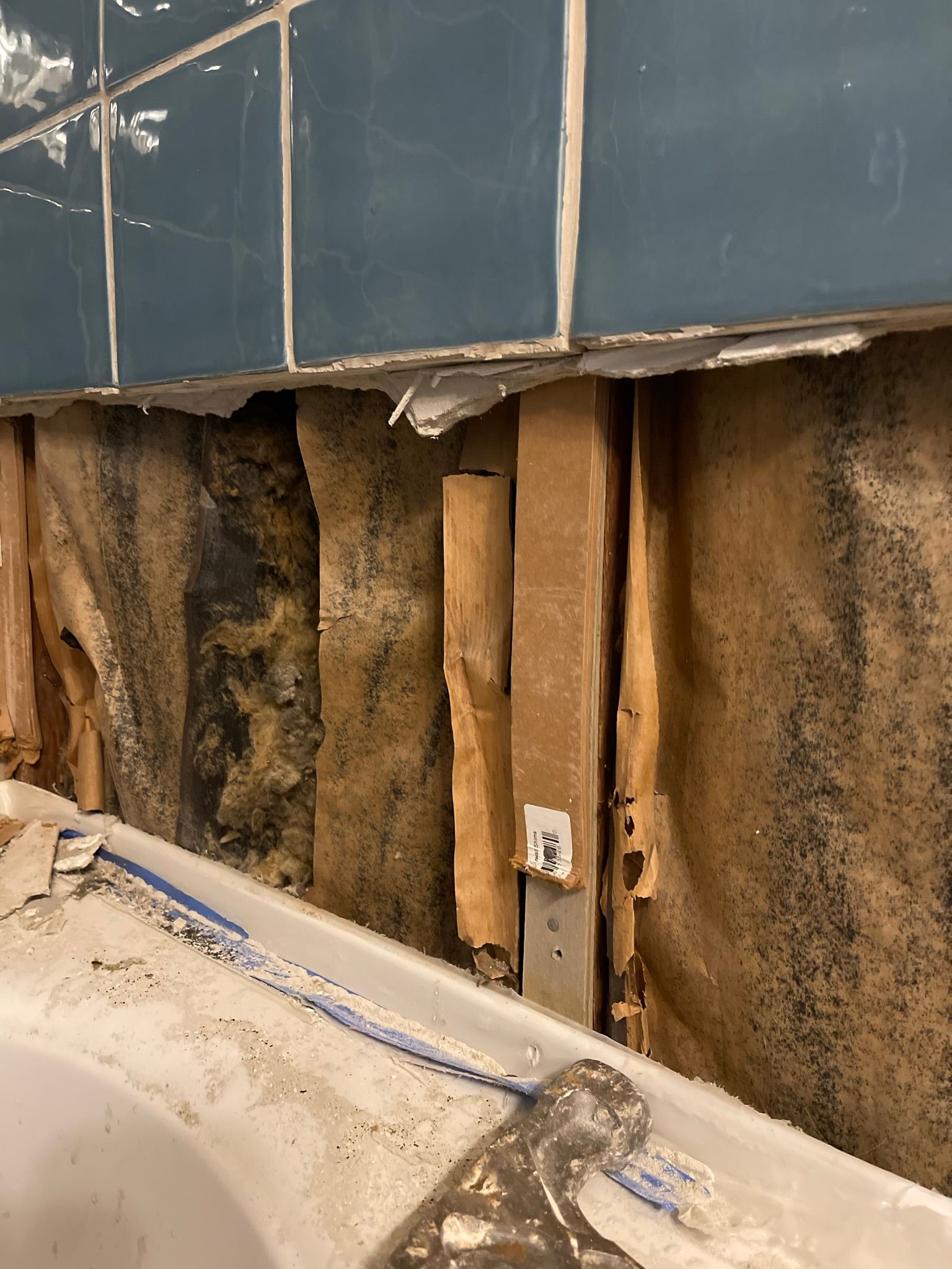  for Tony's Remodeling & Painting in Renton, WA