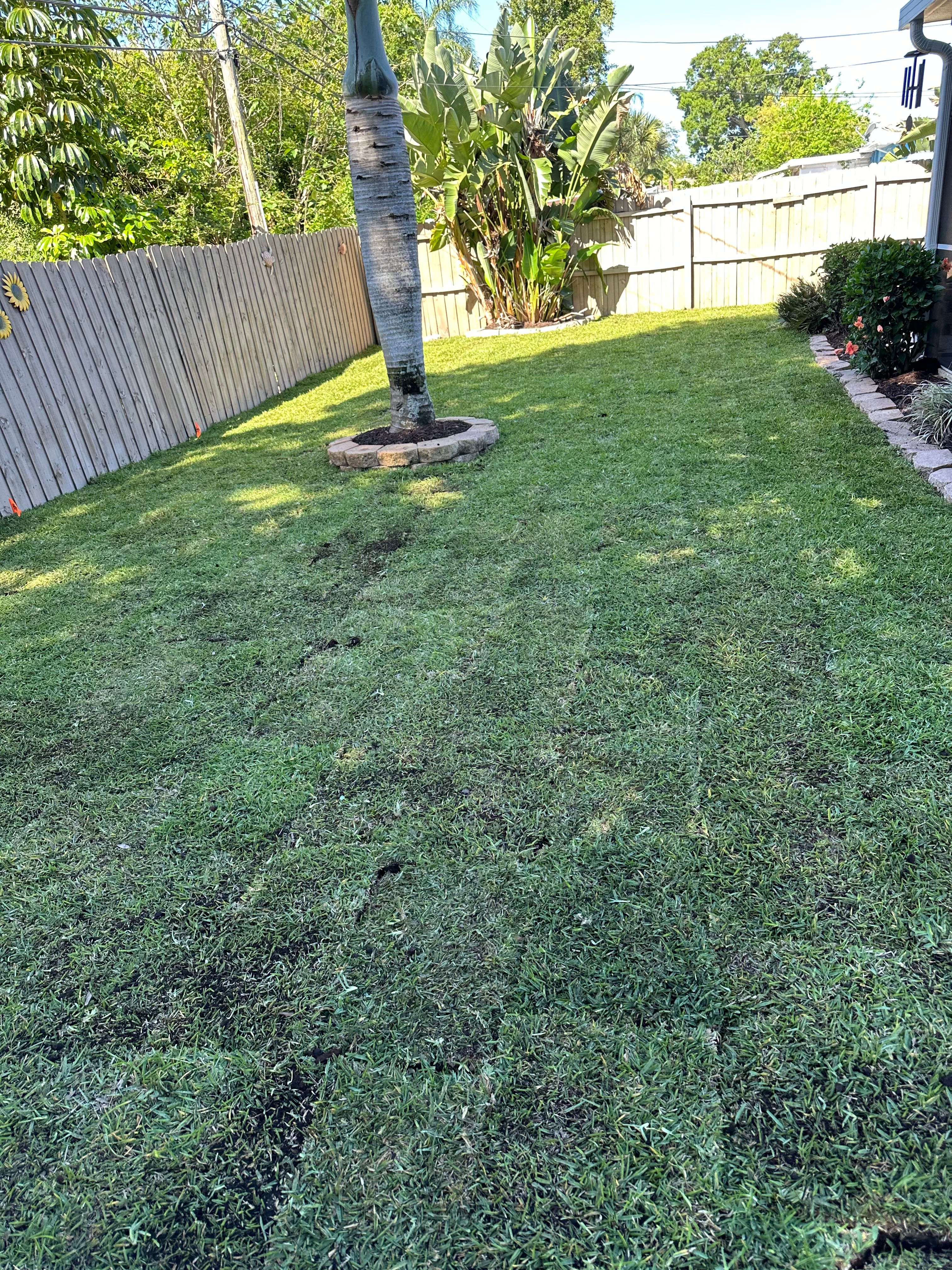  for Gulf Bay Sod in Clearwater, FL