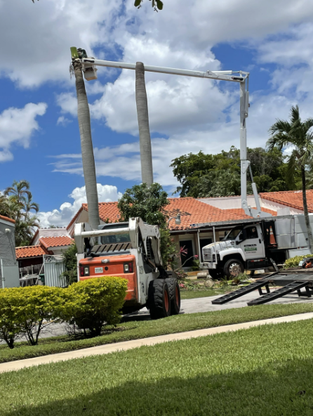  for Nurry Tree Services in Miami, FL