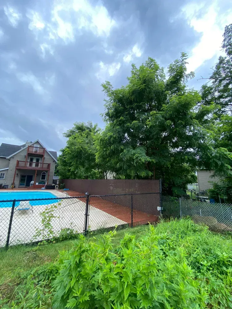 All Photos for Licensed to Cut Tree Service in Athens, PA