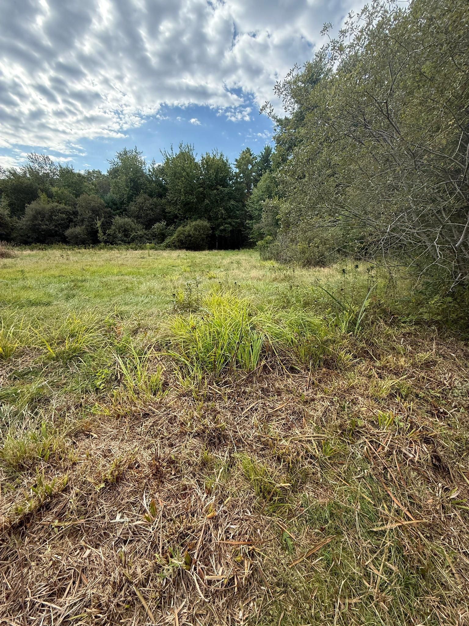  for Lucas Property Maintenance LLC in New Bedford, MA