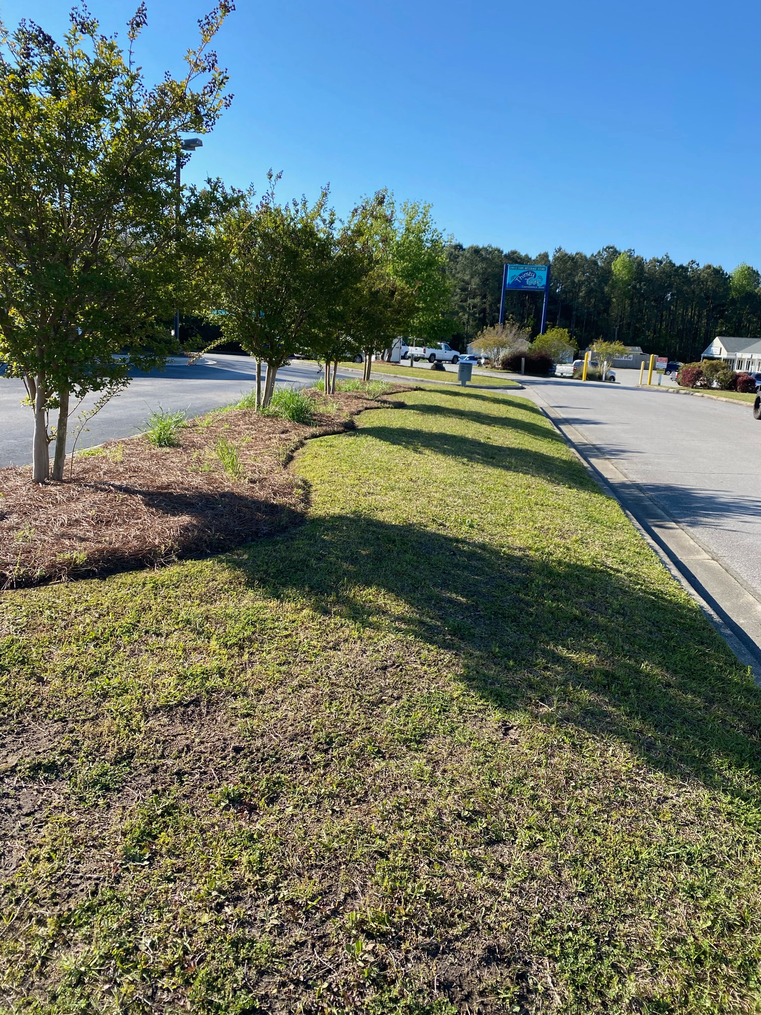 Landscaping for A&A Property Maintenance in Jacksonville, NC