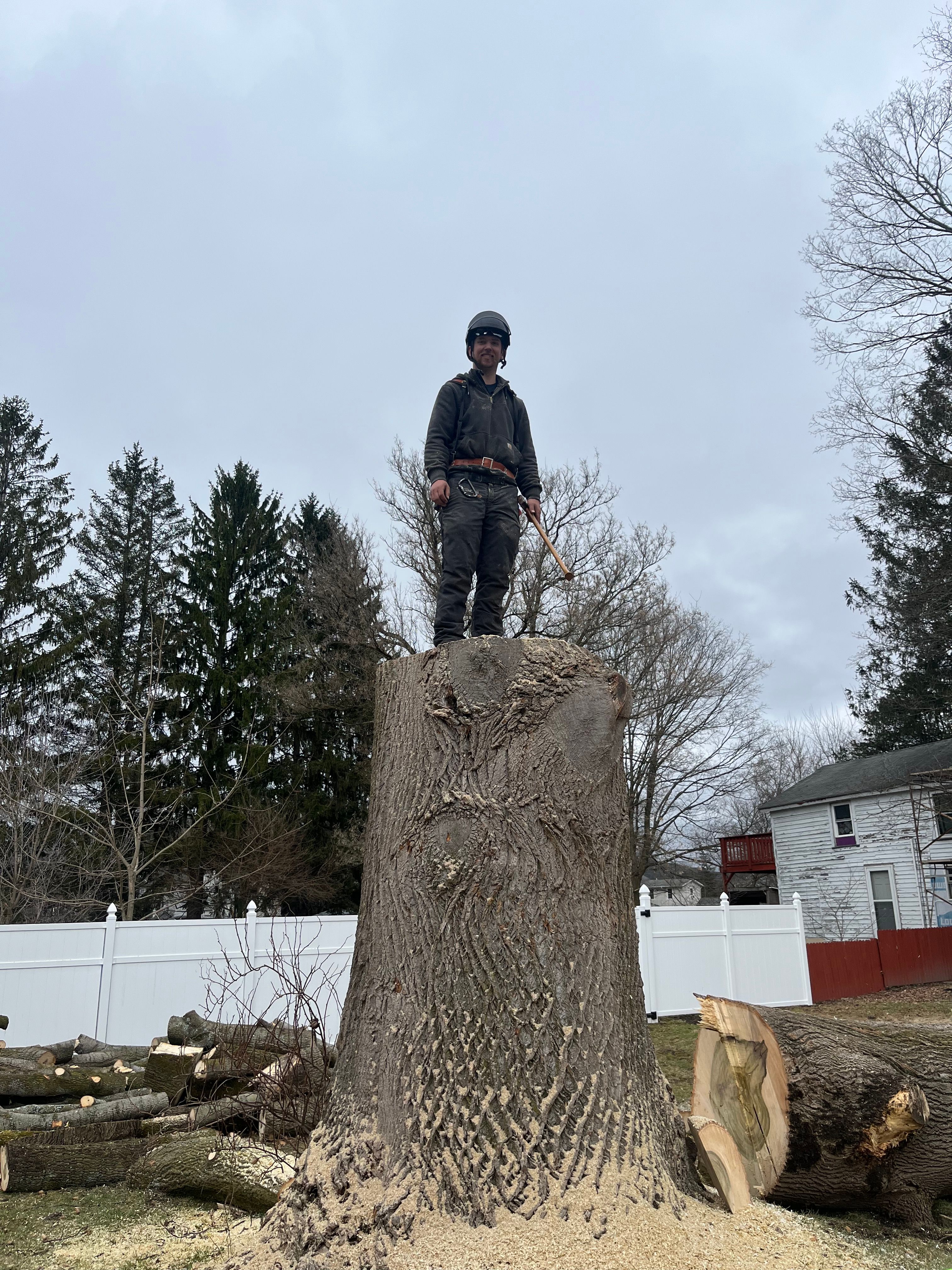 All Photos for Licensed to Cut Tree Service in Athens, PA