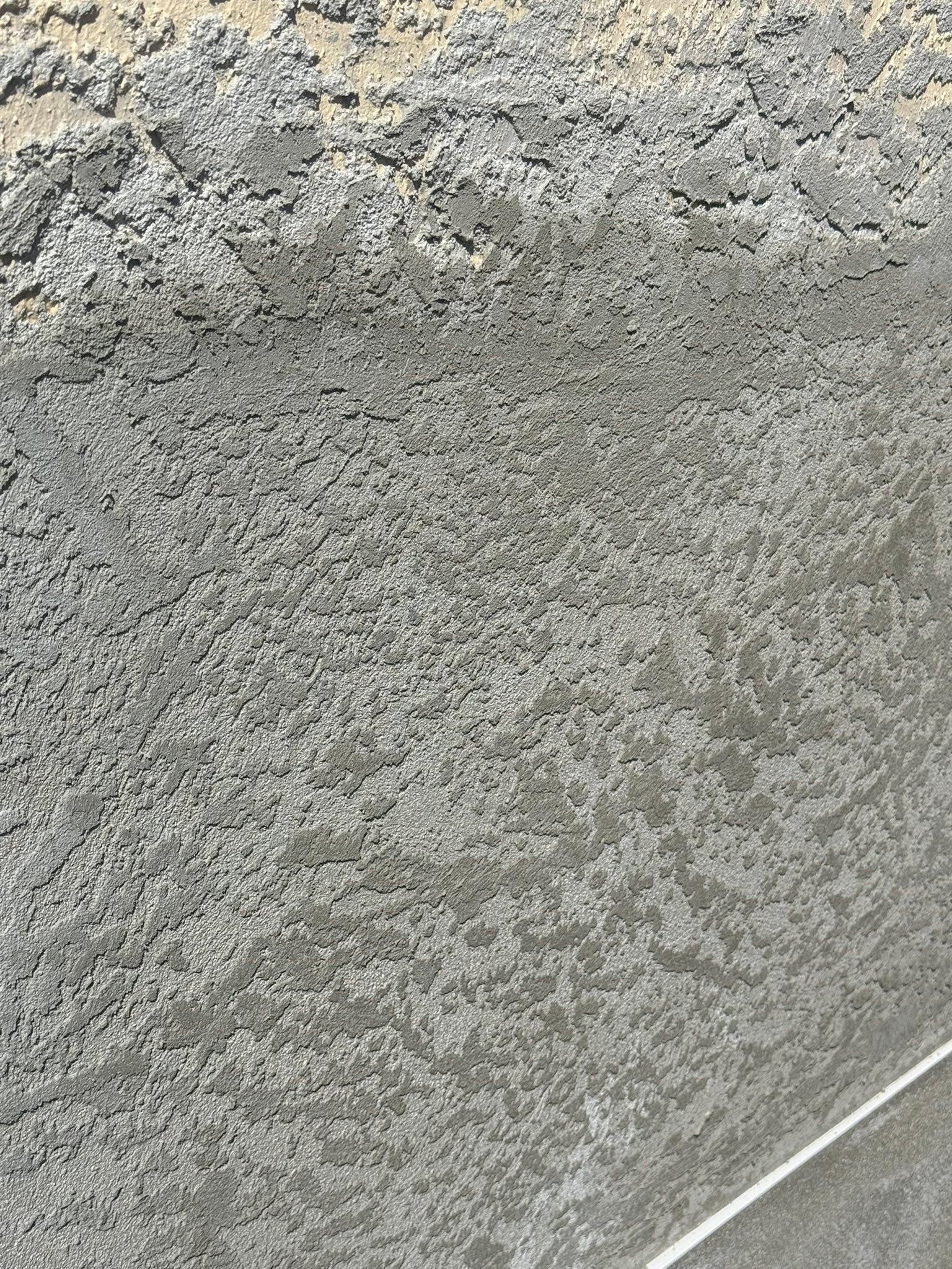  for Escorpio Painting in Tampa, FL