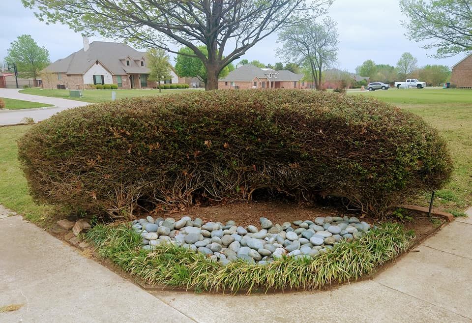  for Lavon Lawn Plus in Lavon, TX