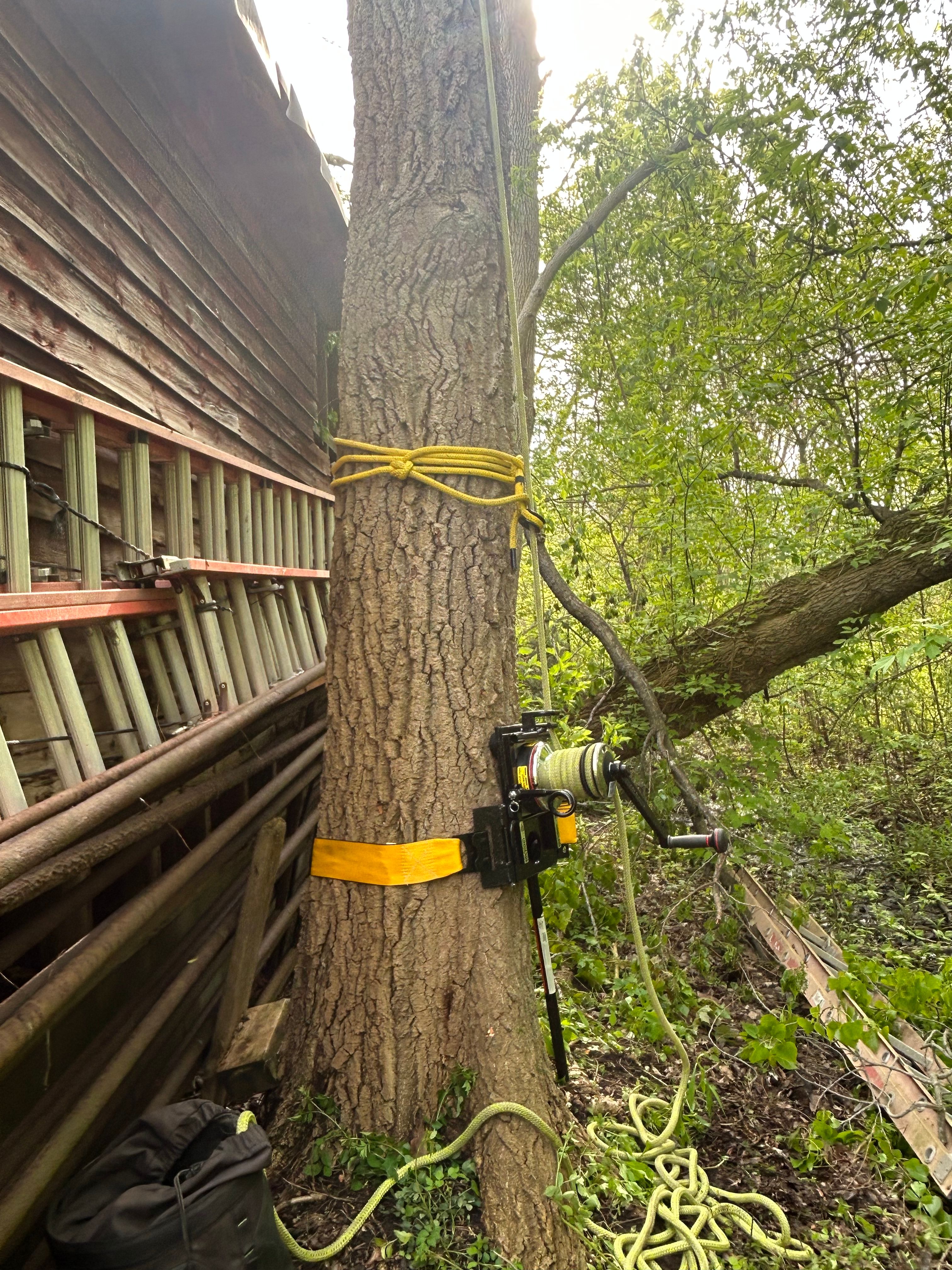  for S.H. Tree Service LLC in Hilton, NY