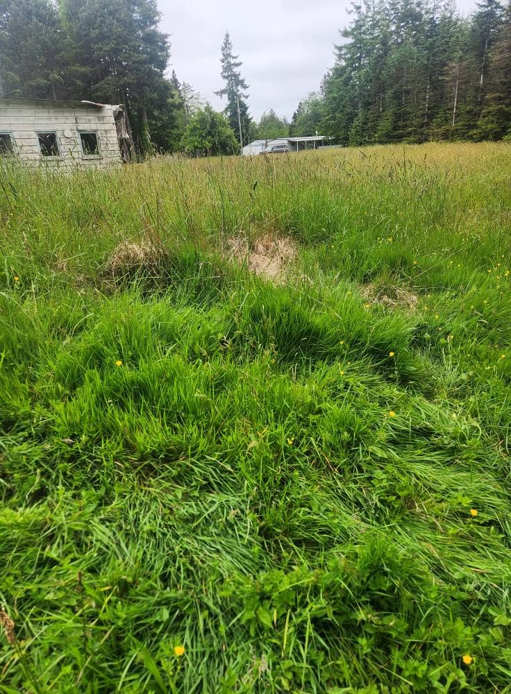  for Bob's Yard Care & Landscaping in Raymond, WA