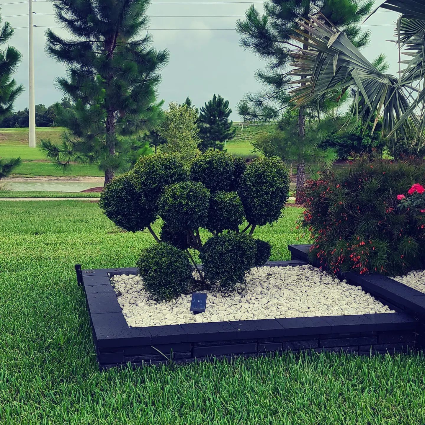  for TopNotch Landscaping Services  in The Villages, FL