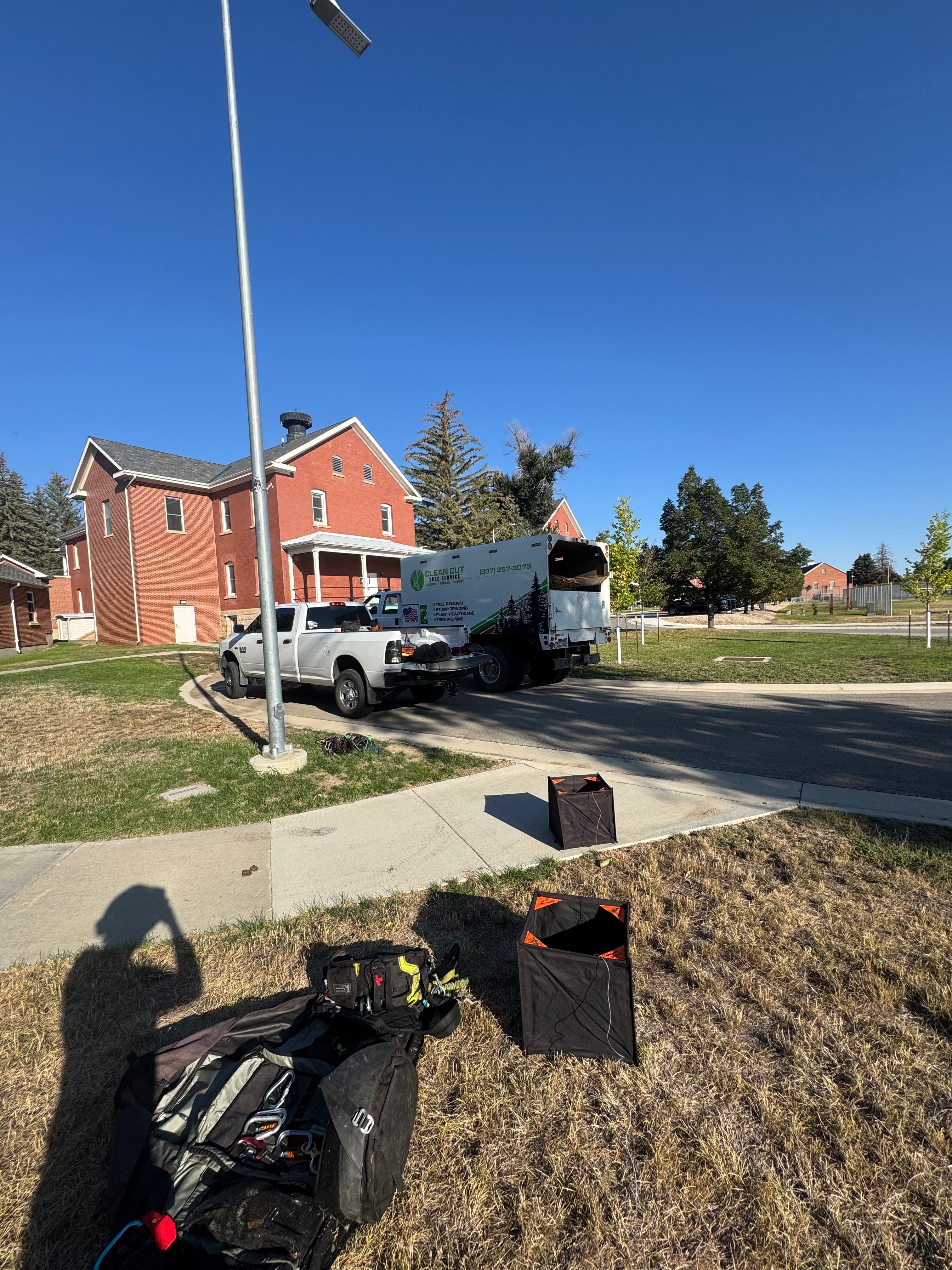  for Clean Cut Tree Service in Gillette, WY