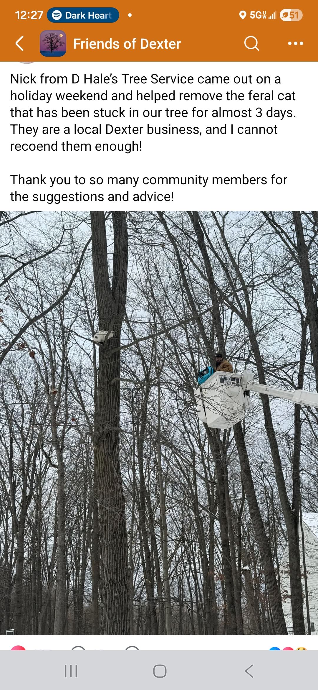  for D Hale Tree Service in Ann Arbor, MI